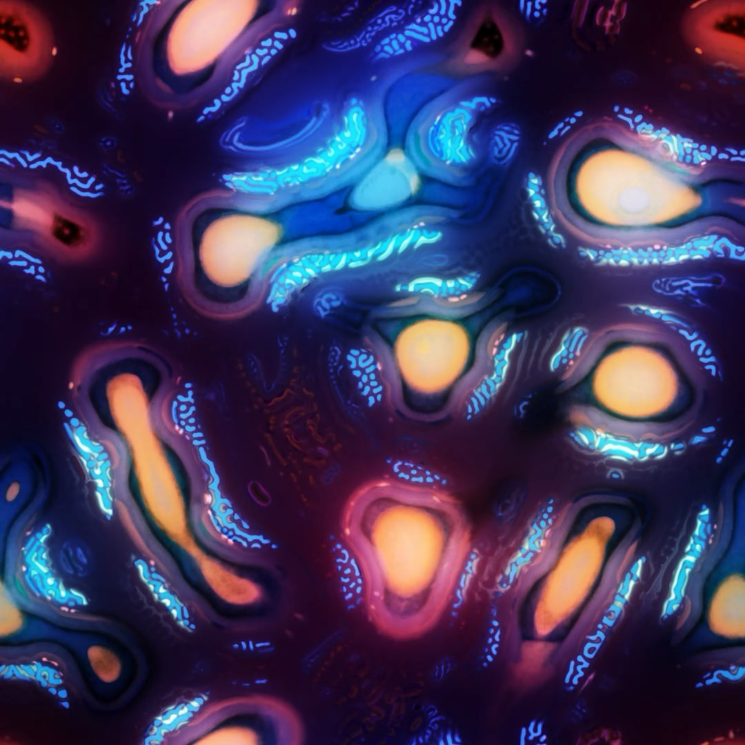 Evolved Turing Pattern #6, 2026