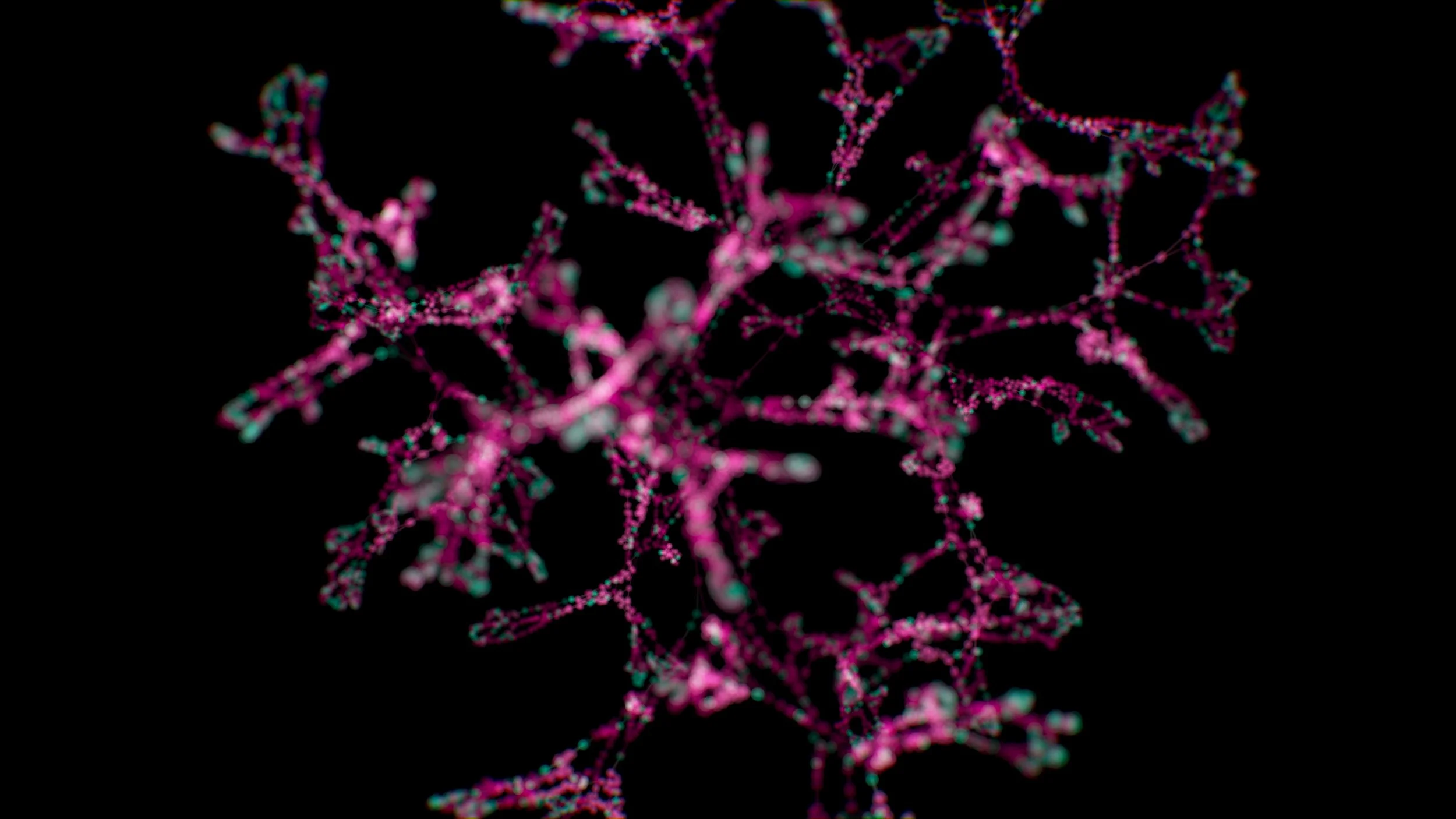 dark_field_flora_exp_tree_3840x2160_1788307516879.jpg