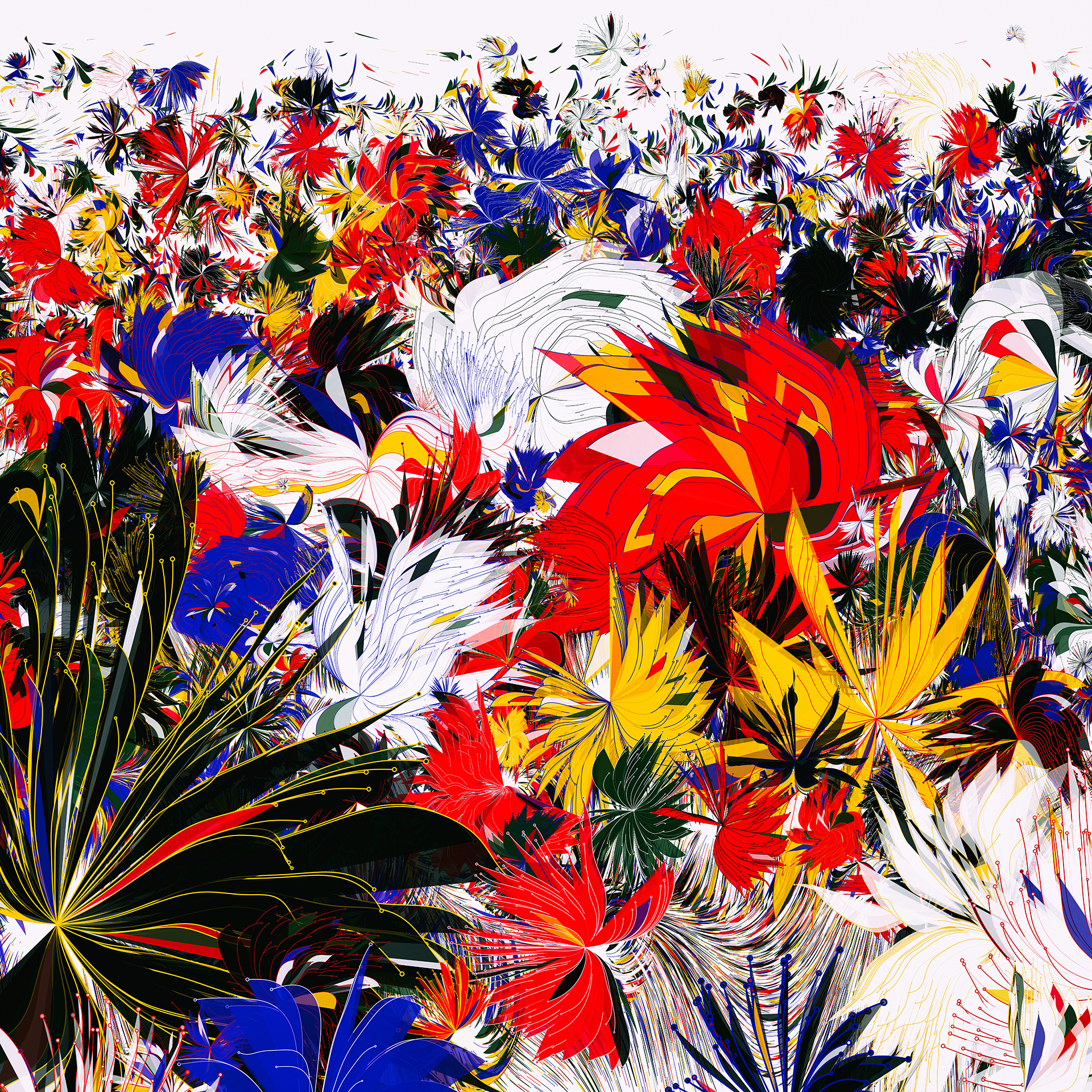 Last Flowers (Bianco), 2021