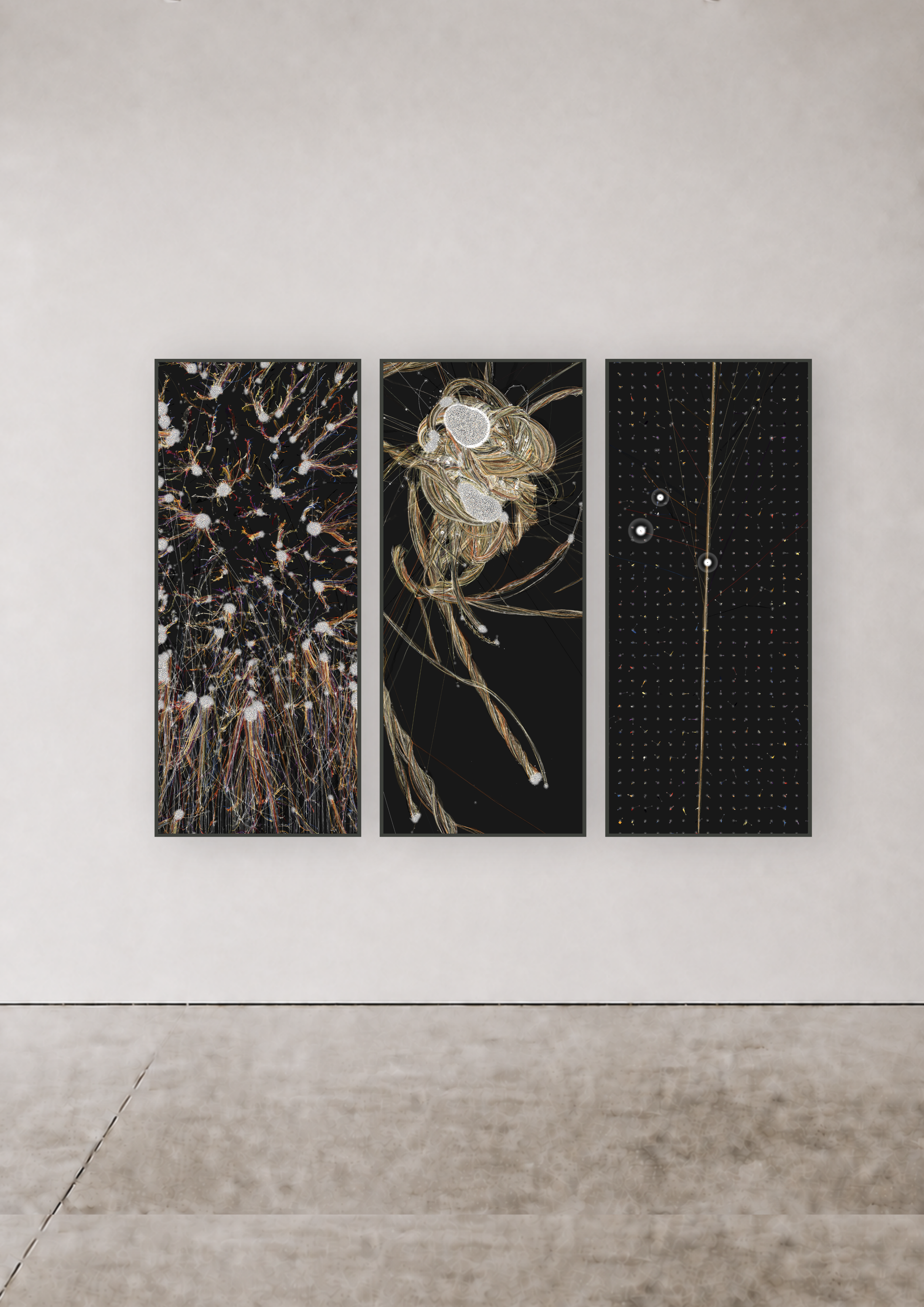 Jared S. Tarbell, Gravity #02, #08, and #04, 2026.png