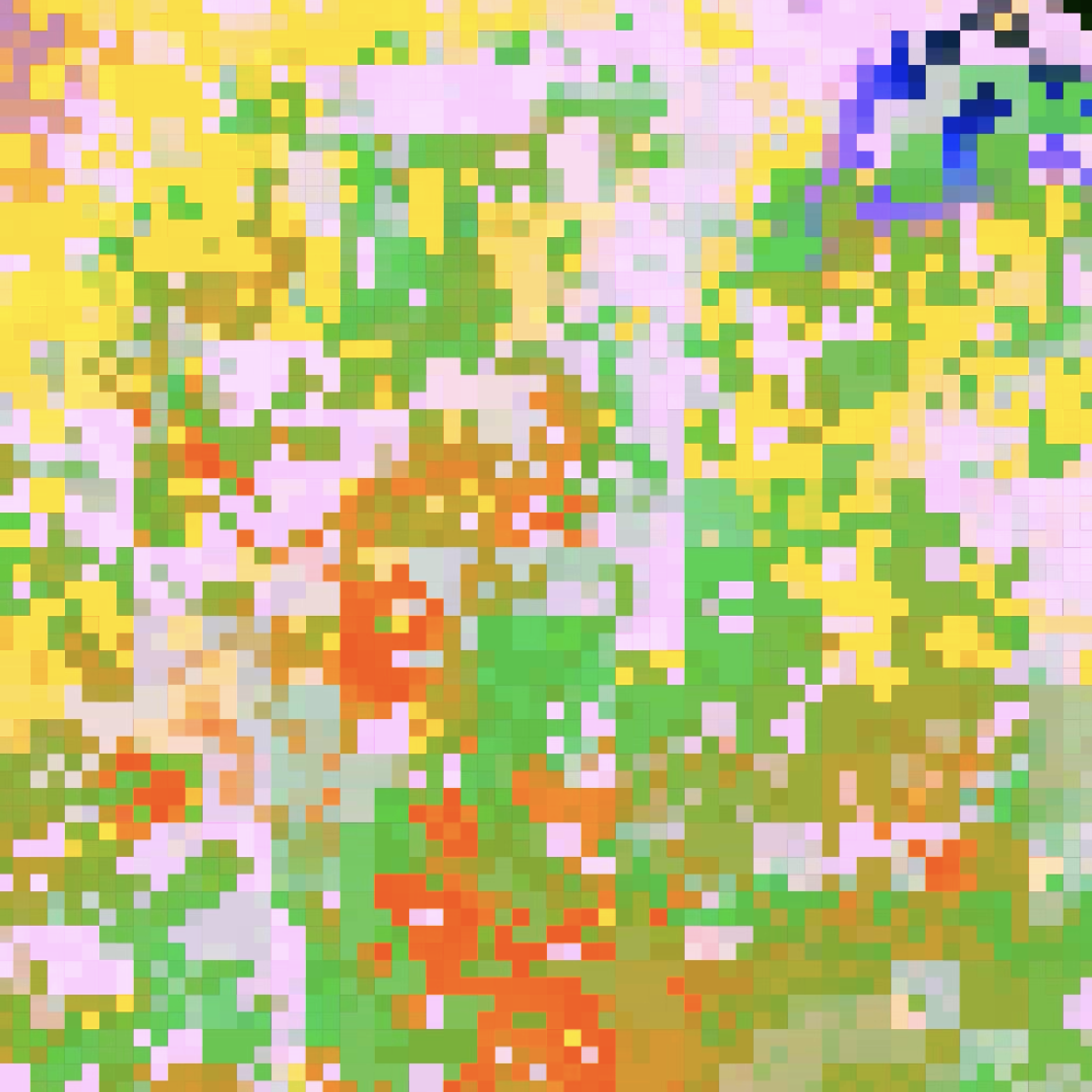 ccnwwys_r, 2020