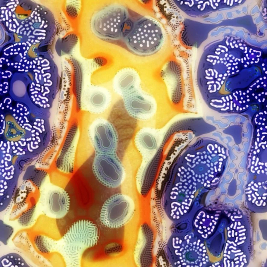 Jonathan McCabe, Evolved Turing Pattern #5, 2026