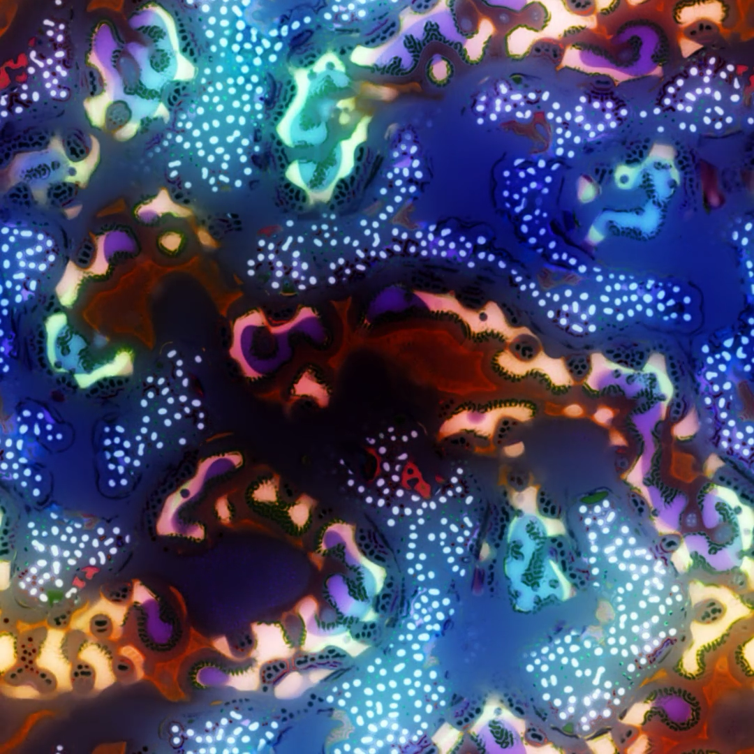 Evolved Turing Pattern #1, 2026