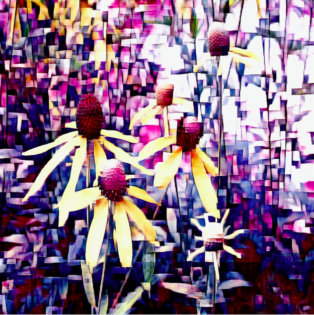 image-asset (2).webp