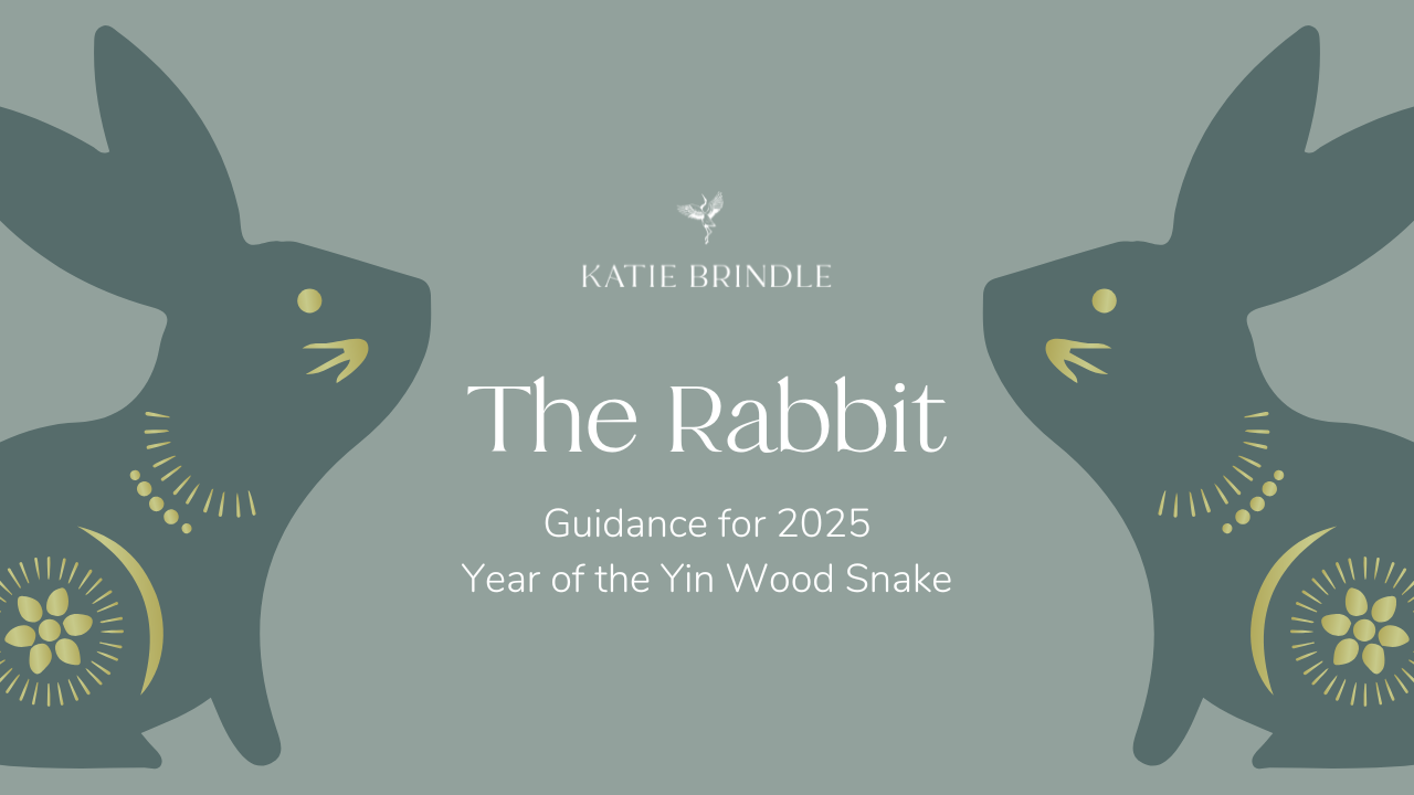 The Rabbit.png