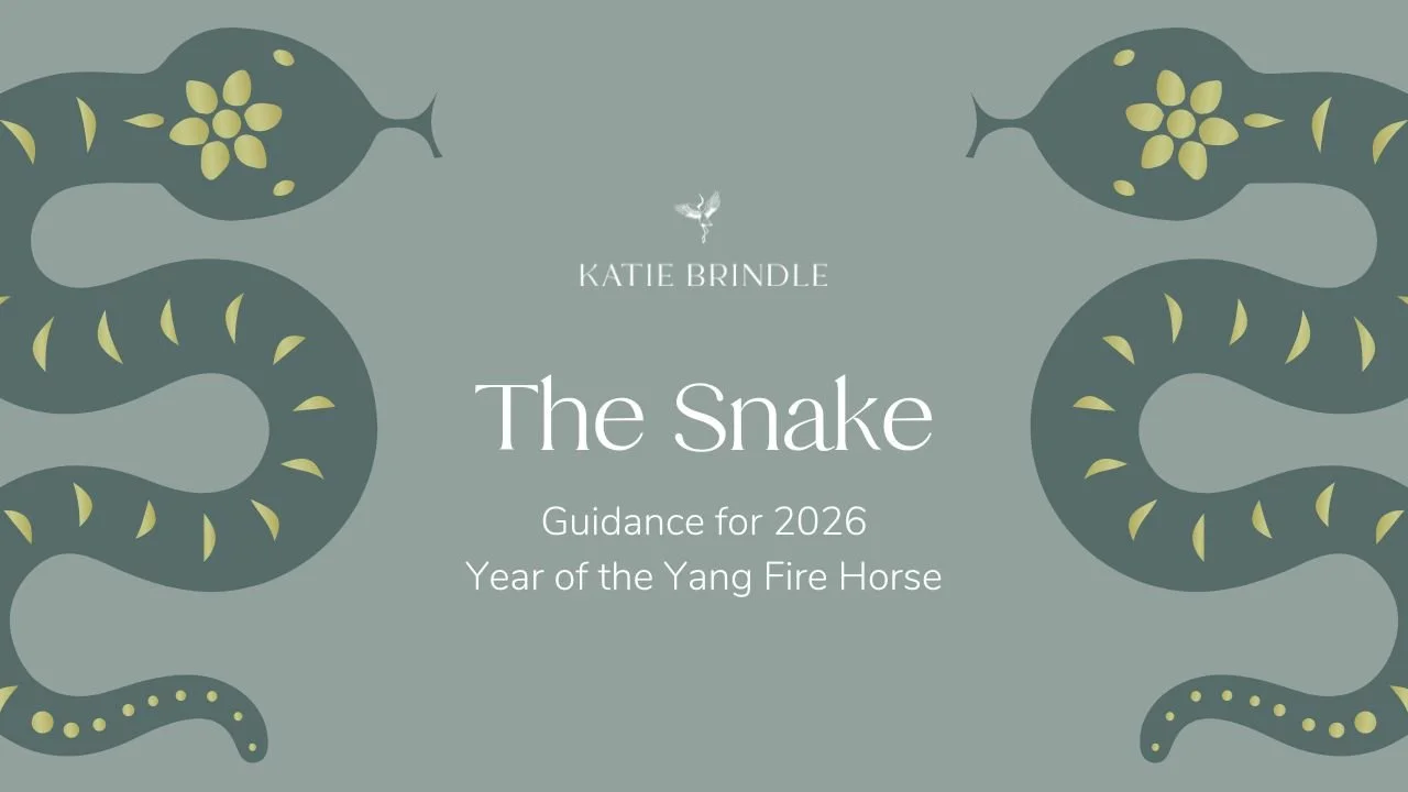 The Snake 2026 -  Chinese Zodiac Guidance for Year of the Yang Fire Horse.