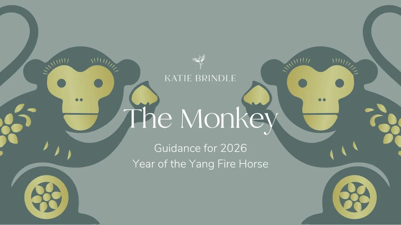 The Monkey 2026 -  Chinese Zodiac Guidance for Year of the Yang Fire Horse