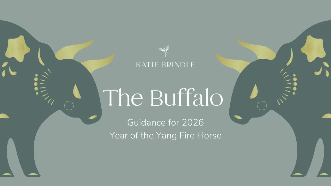 The Buffalo 2026 -  Chinese Zodiac Guidance for Year of the Yang Fire Horse