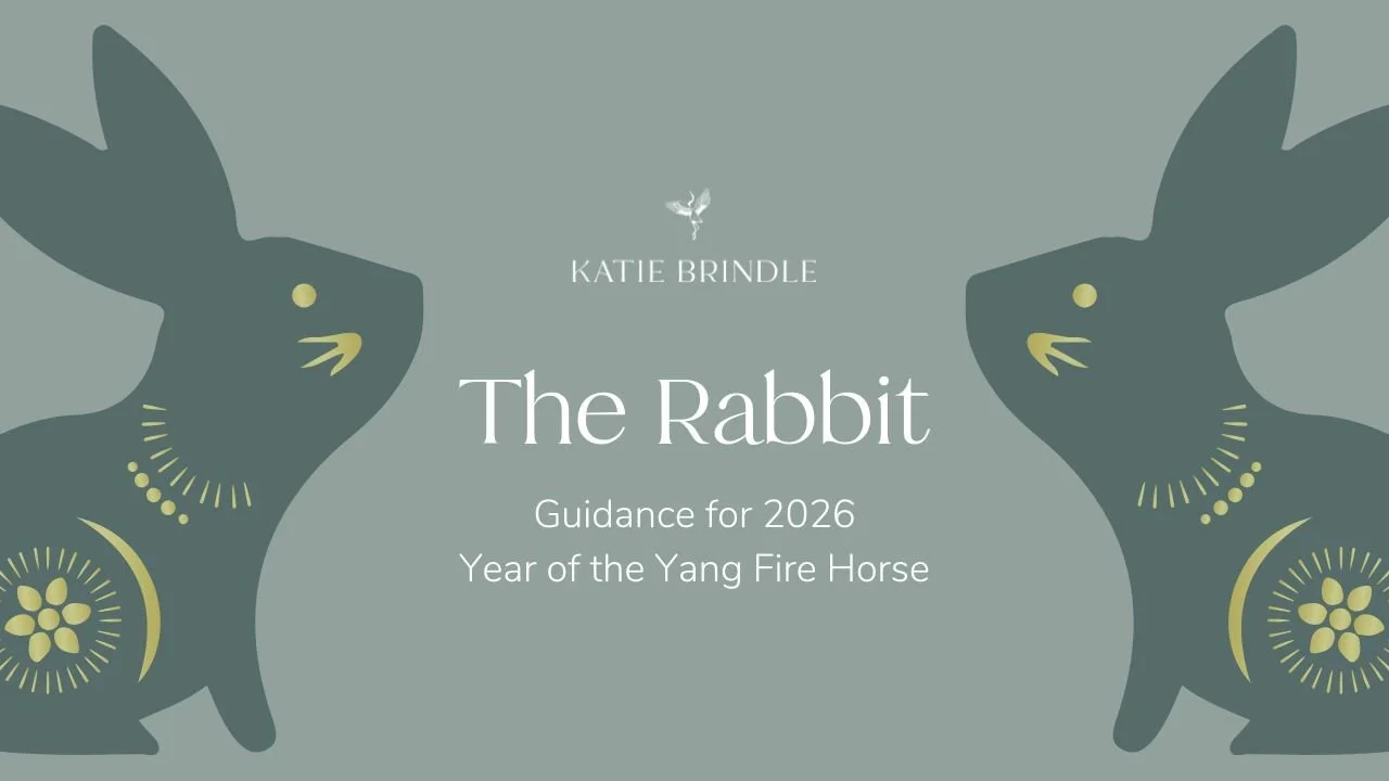 The Rabbit 2026 -  Chinese Zodiac Guidance for Year of the Yang Fire Horse