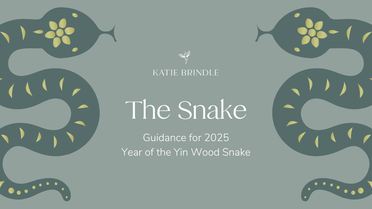 The Snake.png
