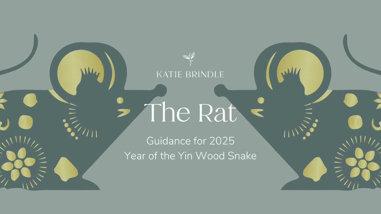The Rat.png