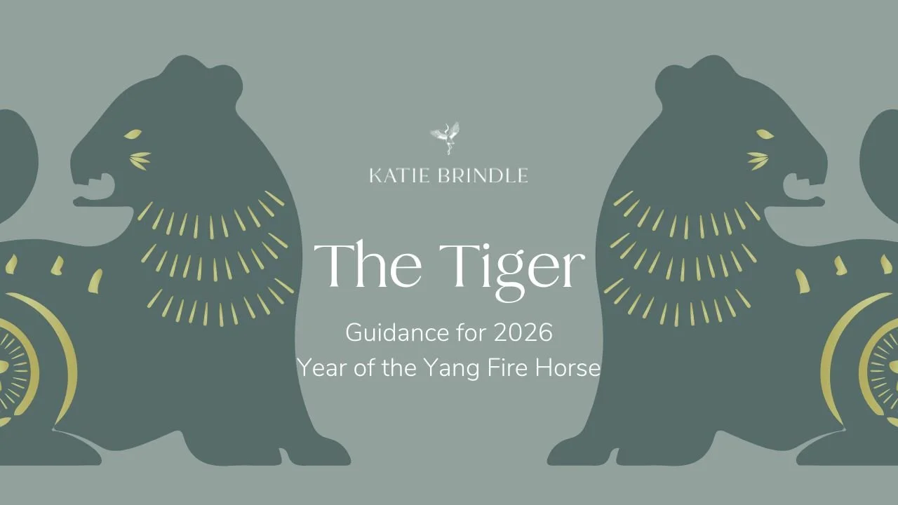 The Tiger 2026 -  Chinese Zodiac Guidance for Year of the Yang Fire Horse