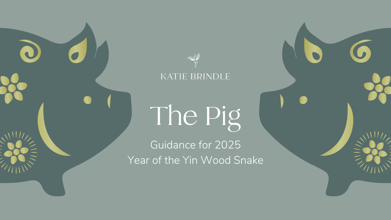 The Pig.png