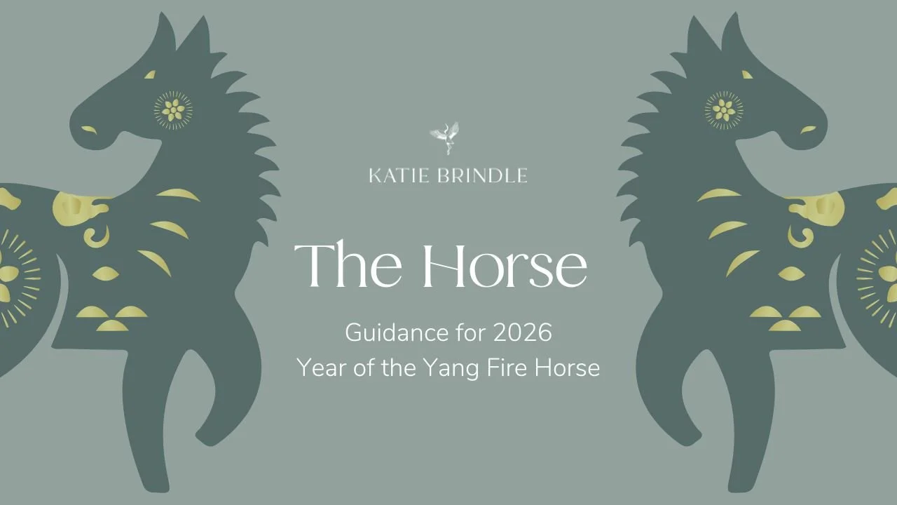 The Horse 2026 -  Chinese Zodiac Guidance for Year of the Yang Fire Horse