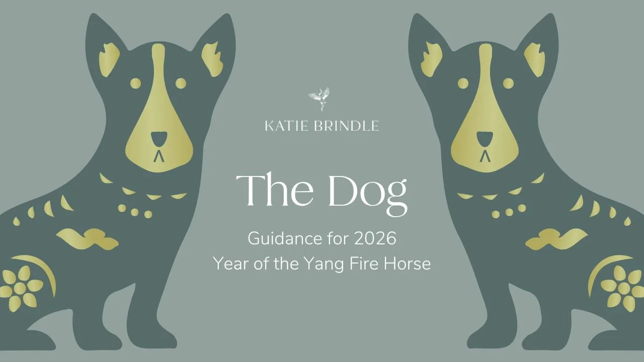 The Dog 2026 -  Chinese Zodiac Guidance for Year of the Yang Fire Horse