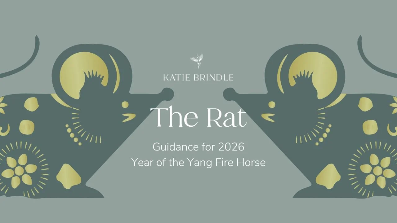 The Rat 2026 -  Chinese Zodiac Guidance for Year of the Yang Fire Horse