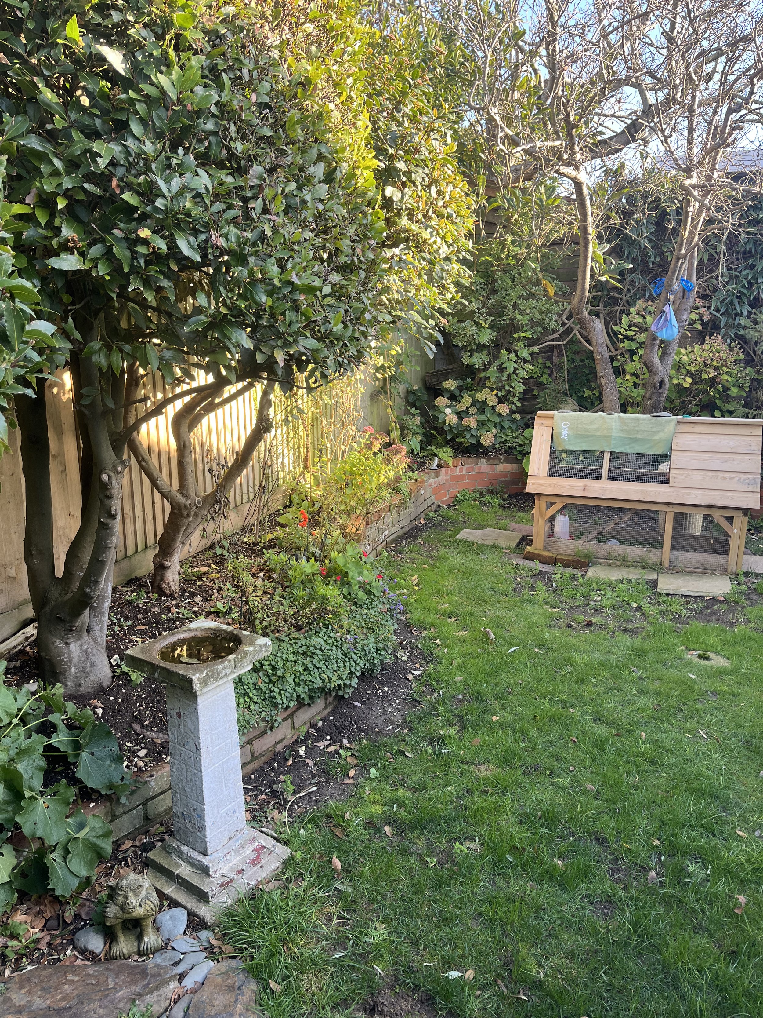 Before photo of lawn and chicken shed in the garden in Saltdean, Brighton & Hove, Sussex. 
