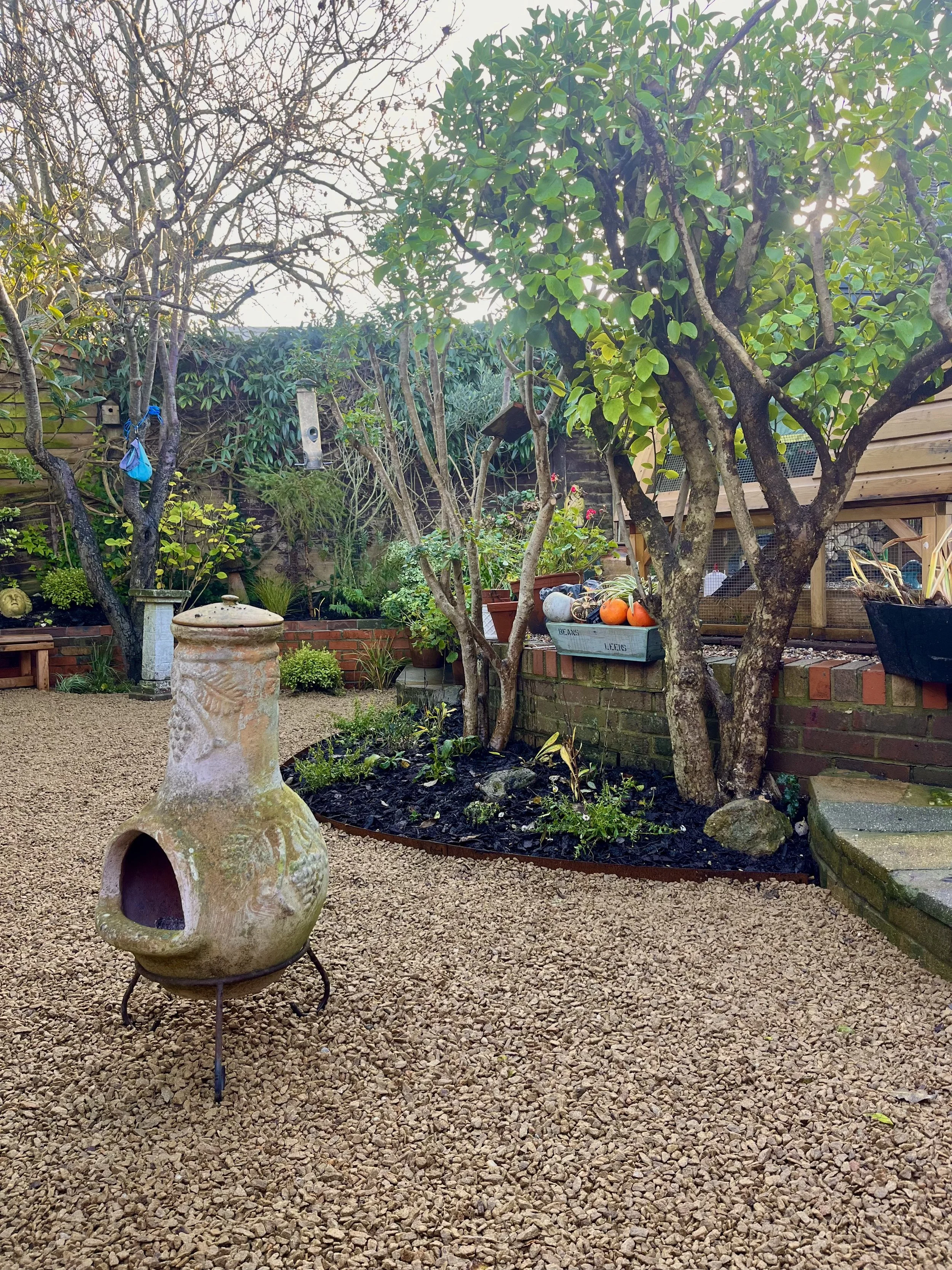 Chimenea in lower planted shingle area of the garden in Saltdean, Brighton & Hove, Sussex. Grisselinia littoralis clipped behind