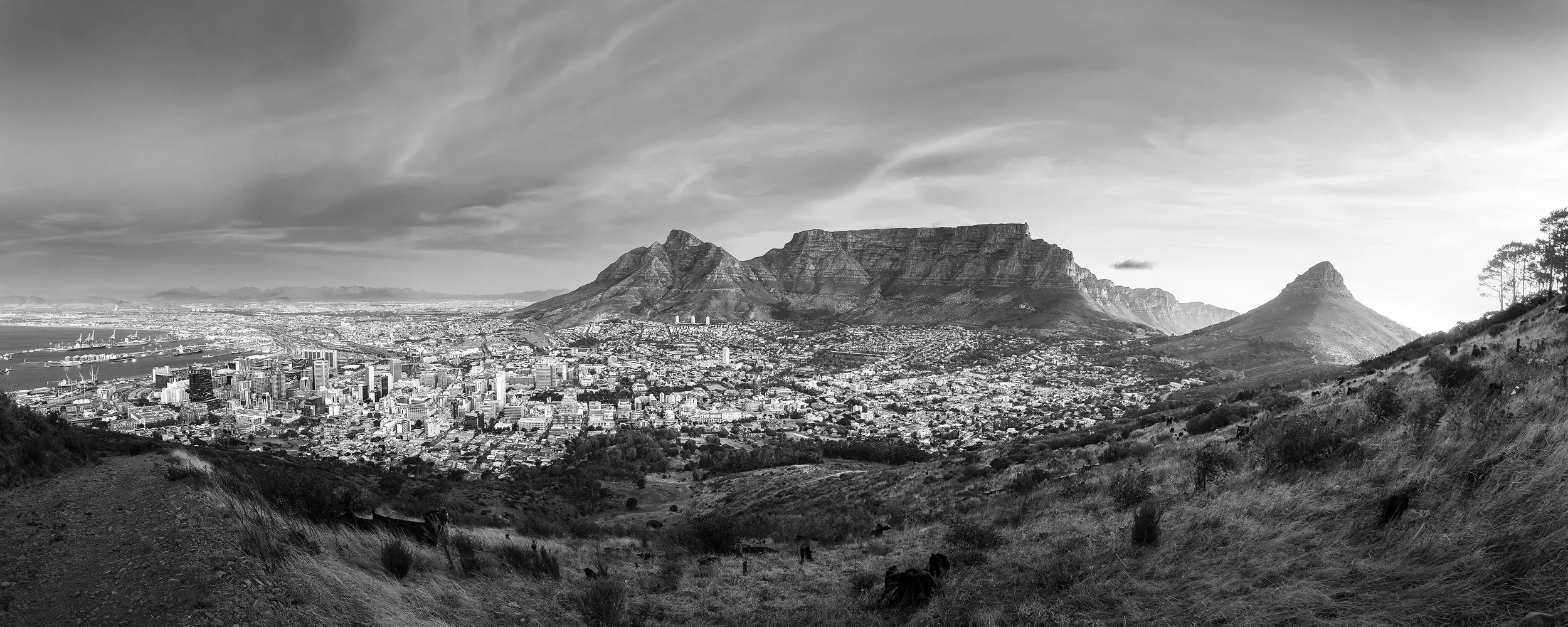 Cape Town Panoramic