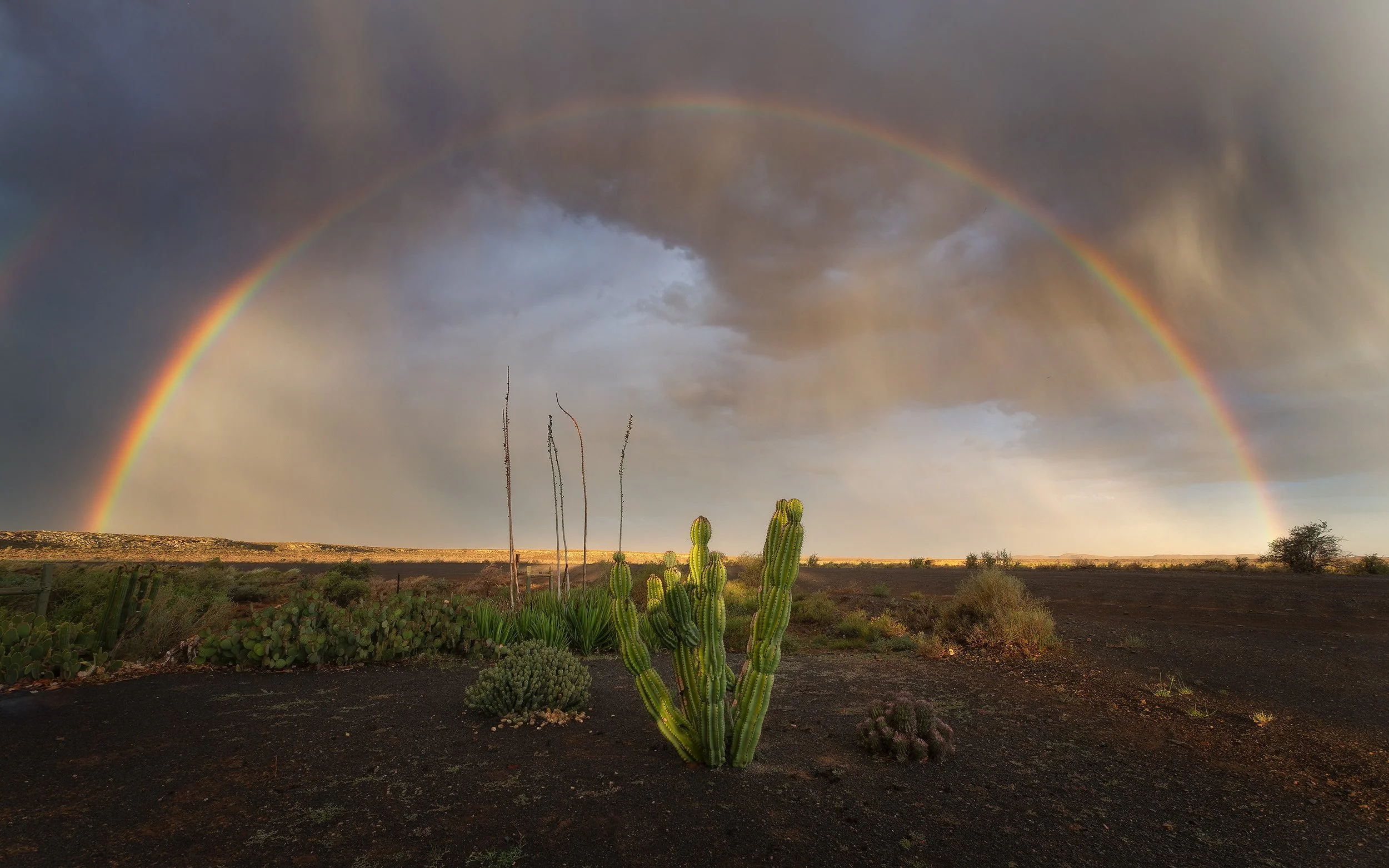 Karoo Rainbow