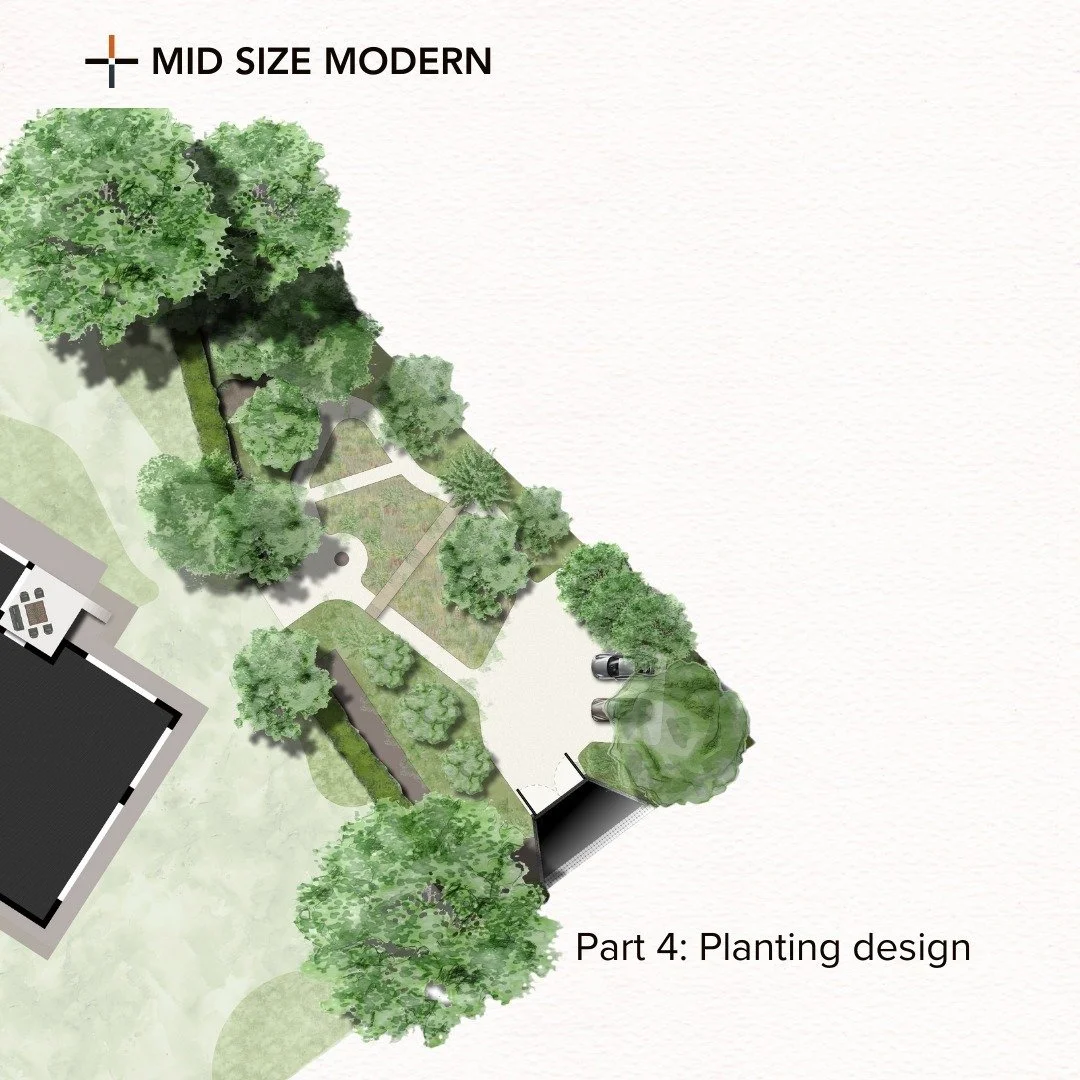 So its time to say to your client 'Lets talk about plants'
Seems a simple stage in the garden process? Not at all!
A lot of thought goes into the planting design stage, and it is personally something I pride myself in and have built this studio aroun