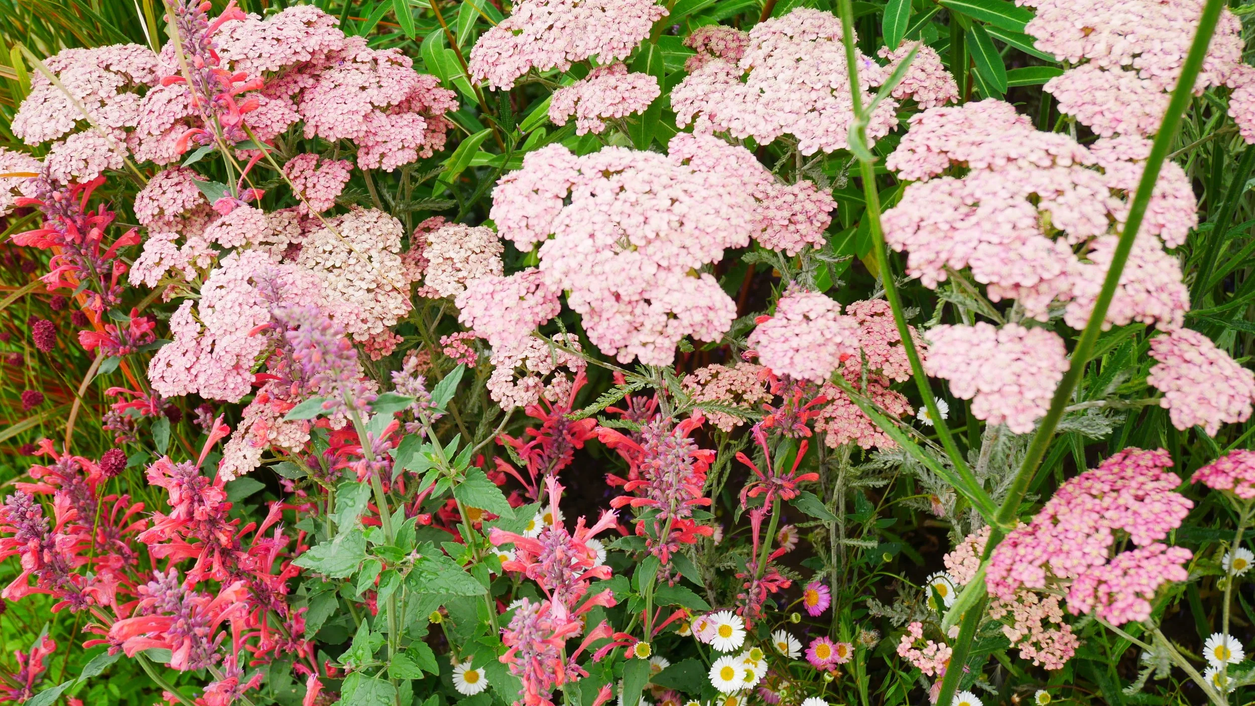 Designing for Sandy Loam Soil in Cheshire