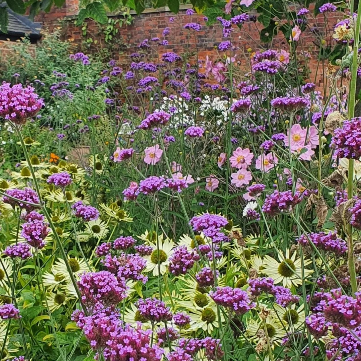 Garden Design in North Wales