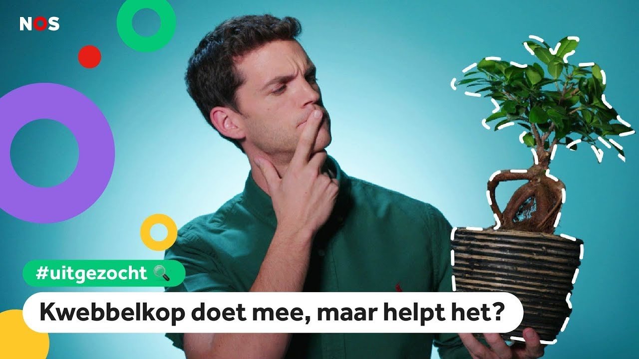 visual identity - Dutch broadcasting network NOS jeugd