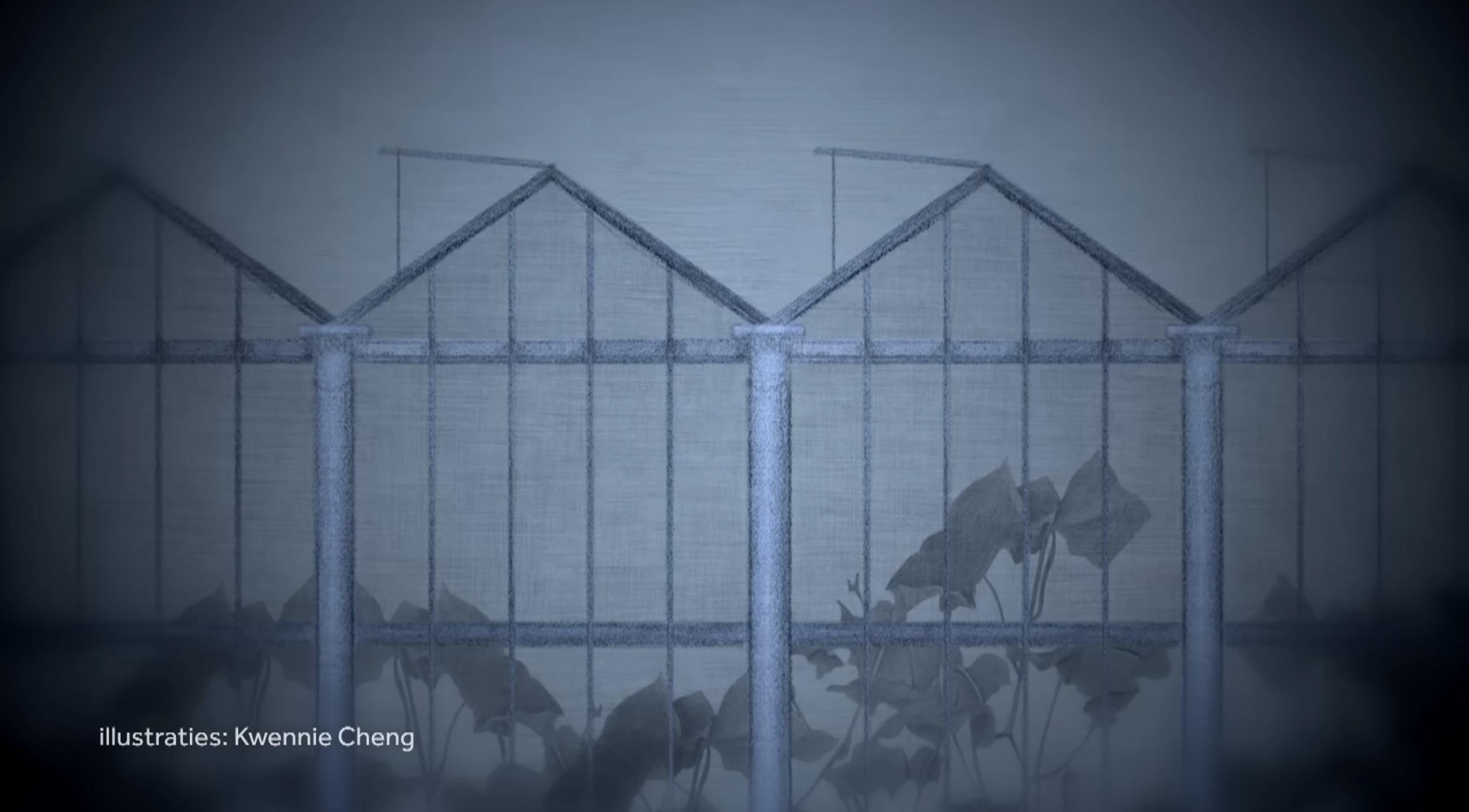 Investigative video on global reports of modern slavery. I created 4 stop-motion animations, combining my illustrations and animation skills to accompany survivors’ stories. Some are told anonymously. This story is based in the Netherlands. 

The scr