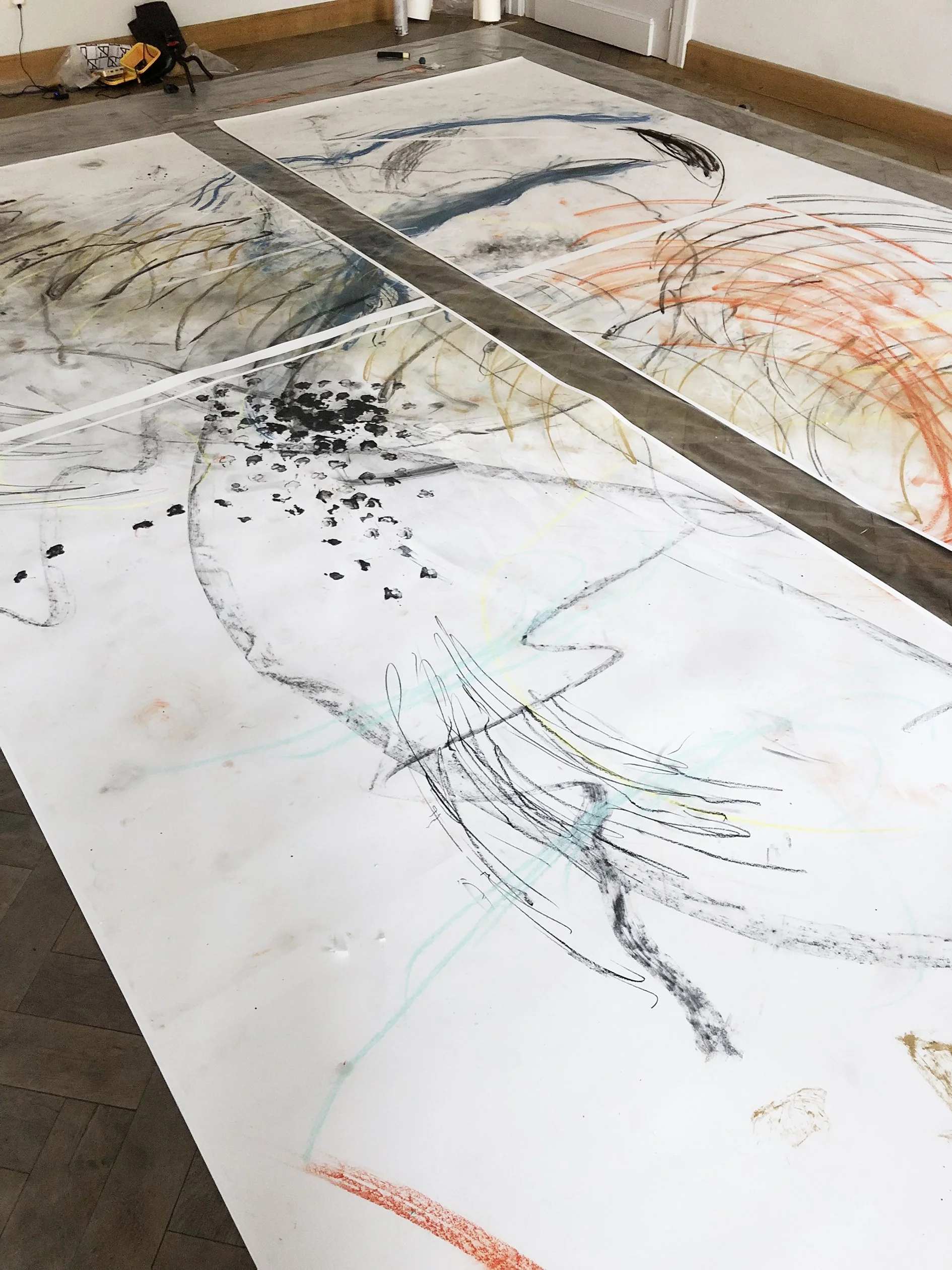 Pond LIfe Studio 2.jpg