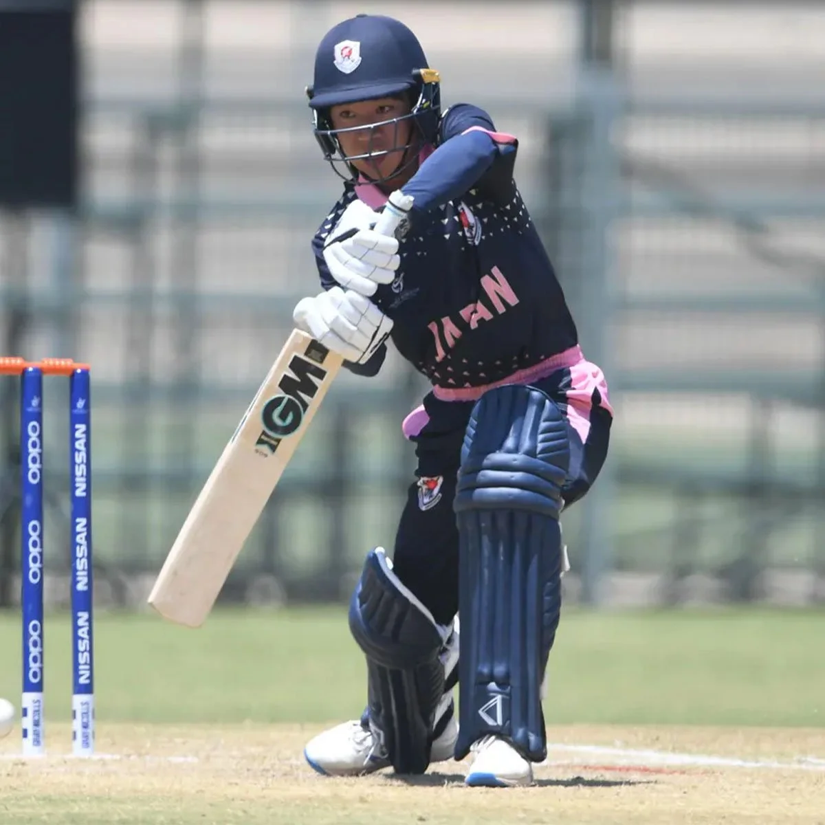 Japan Cricket Website Shots2.jpg