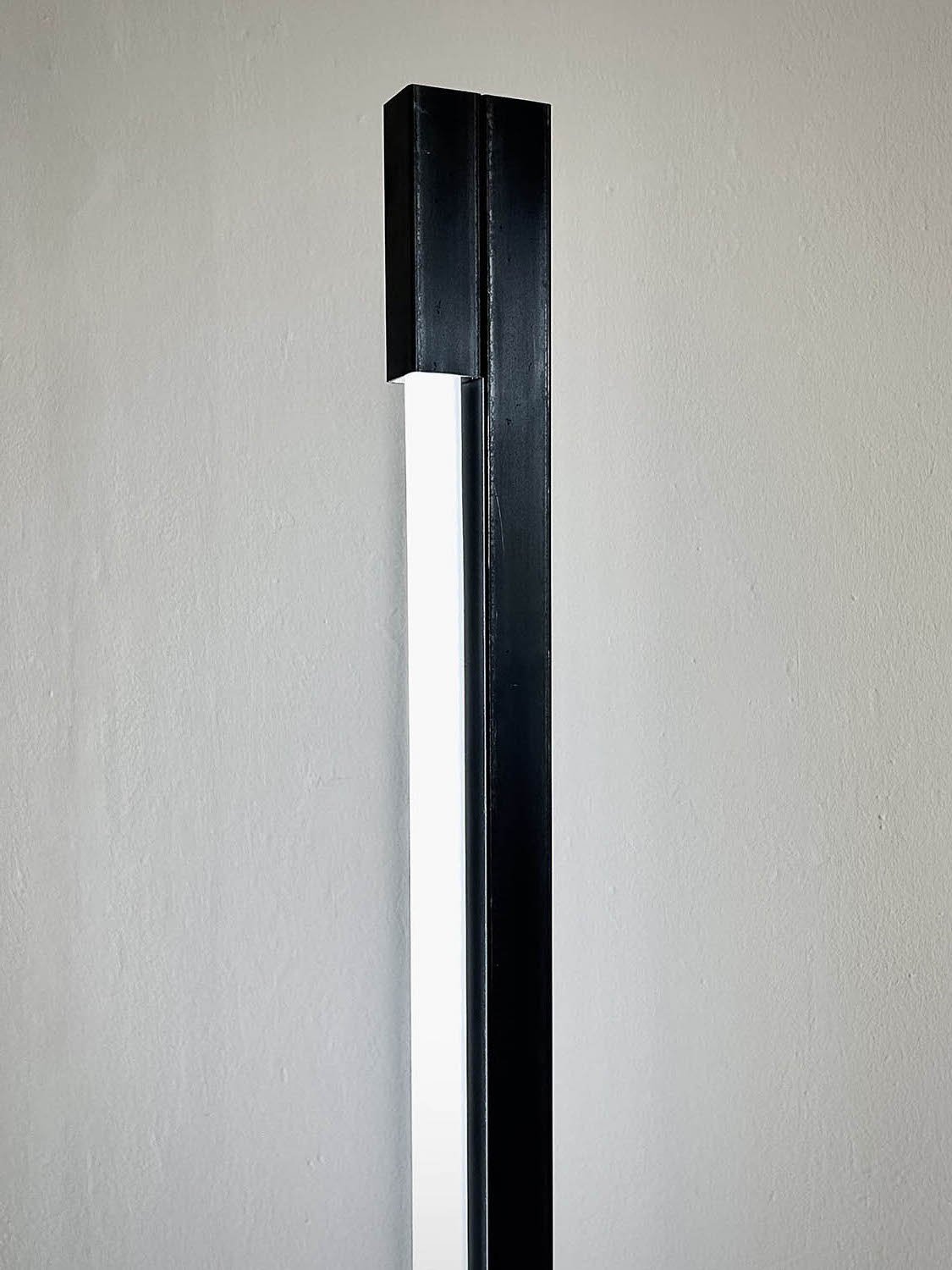 DS10-daylightW.jpg