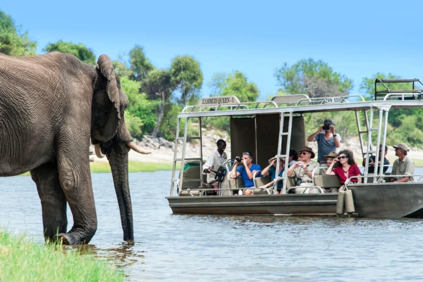 AmaWaterways Offers Exciting Safari River Cruises in Southern Africa