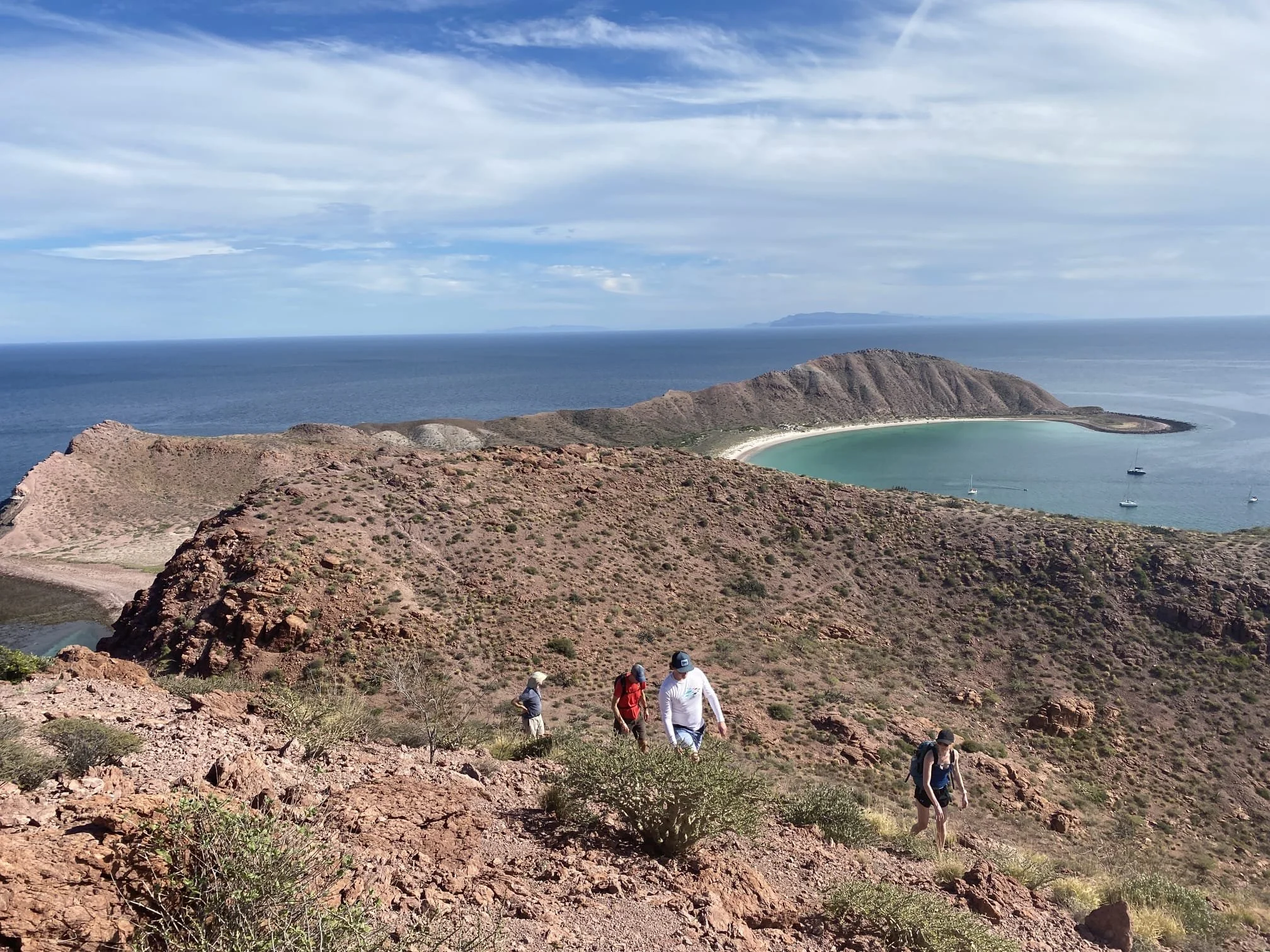 WhatsApp Image 2026-02-12 at 12.52.58 (3).jpeg