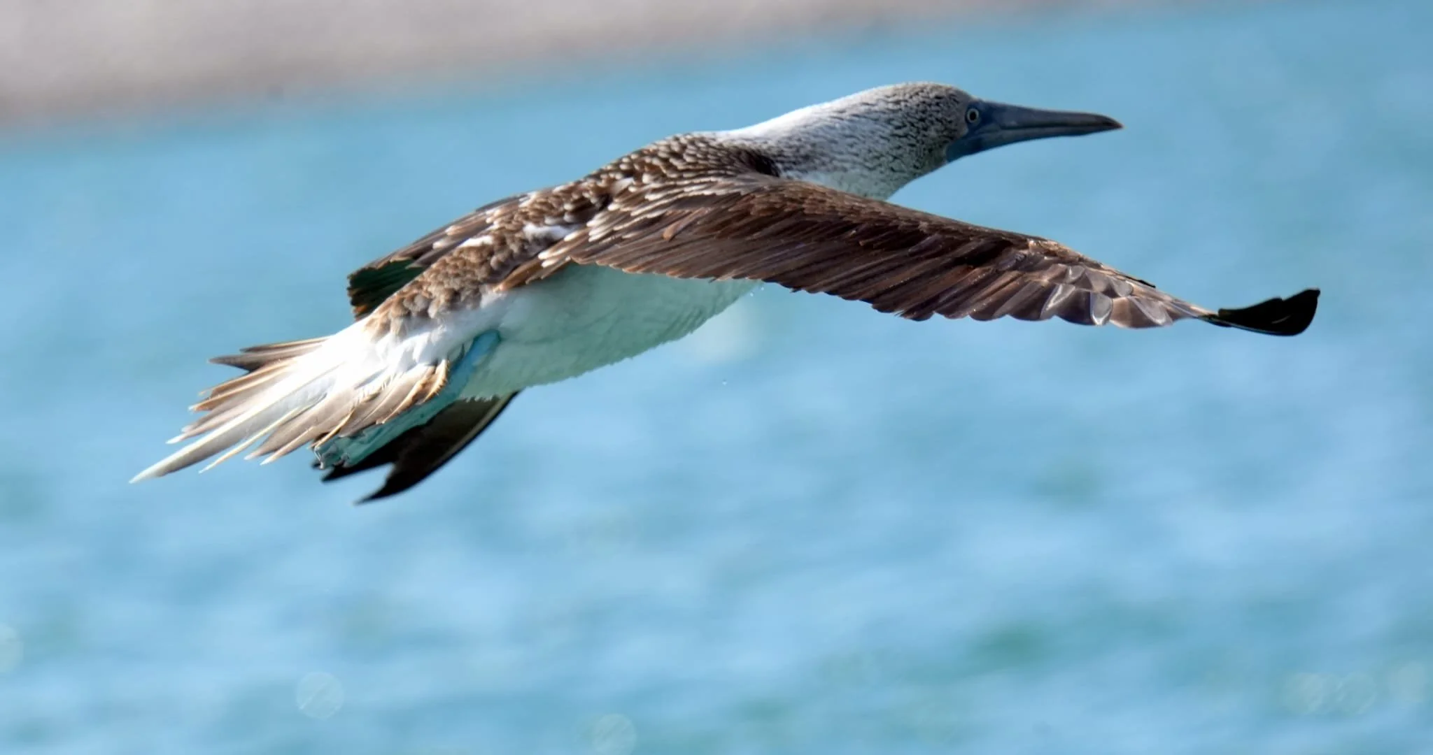 WhatsApp Image 2026-02-12 at 12.52.58 (4).jpeg