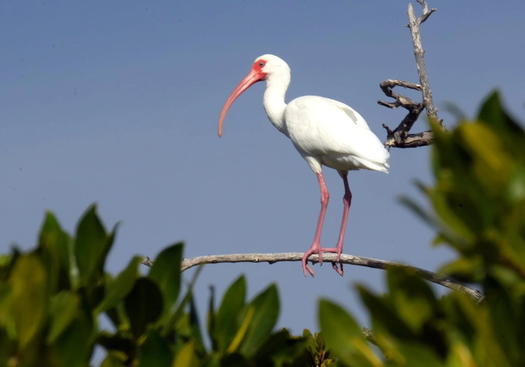 WhatsApp Image 2026-02-12 at 12.52.59 (1).jpeg