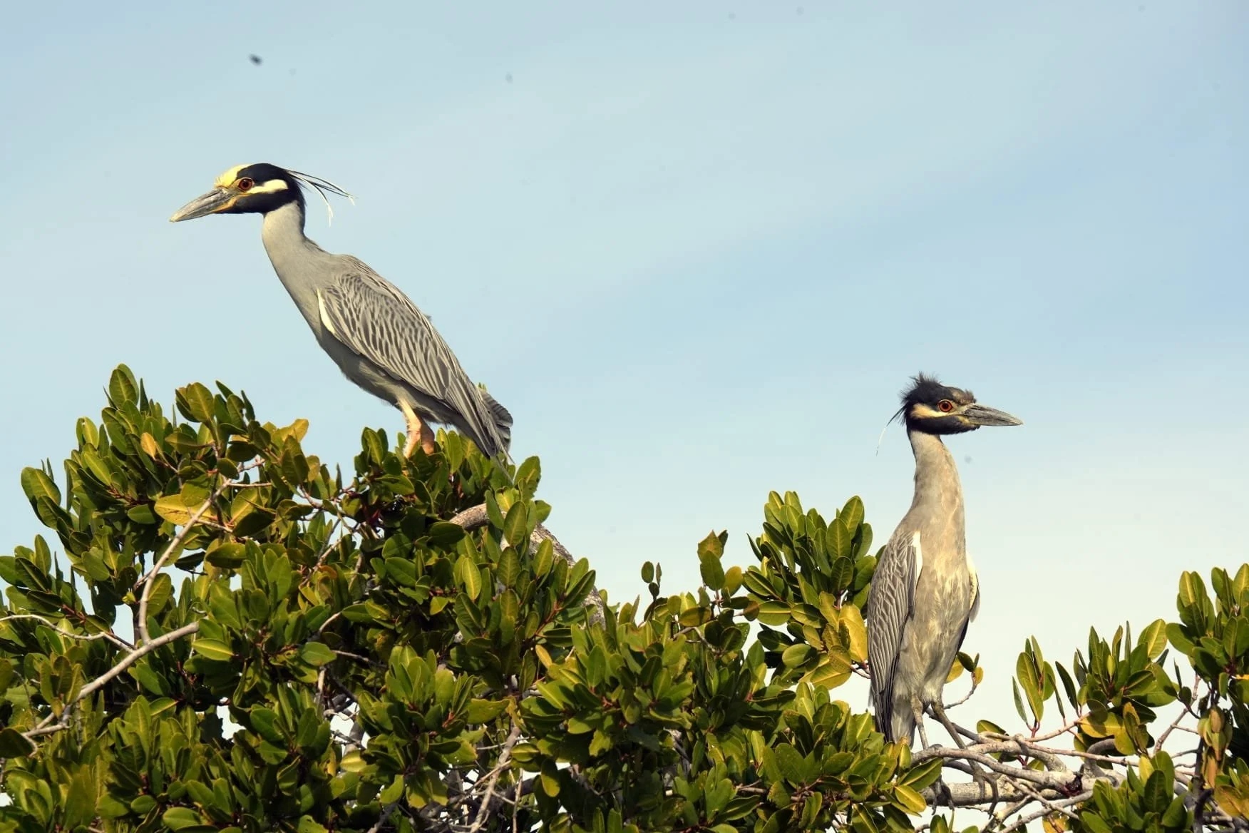 WhatsApp Image 2026-02-12 at 12.52.59.jpeg