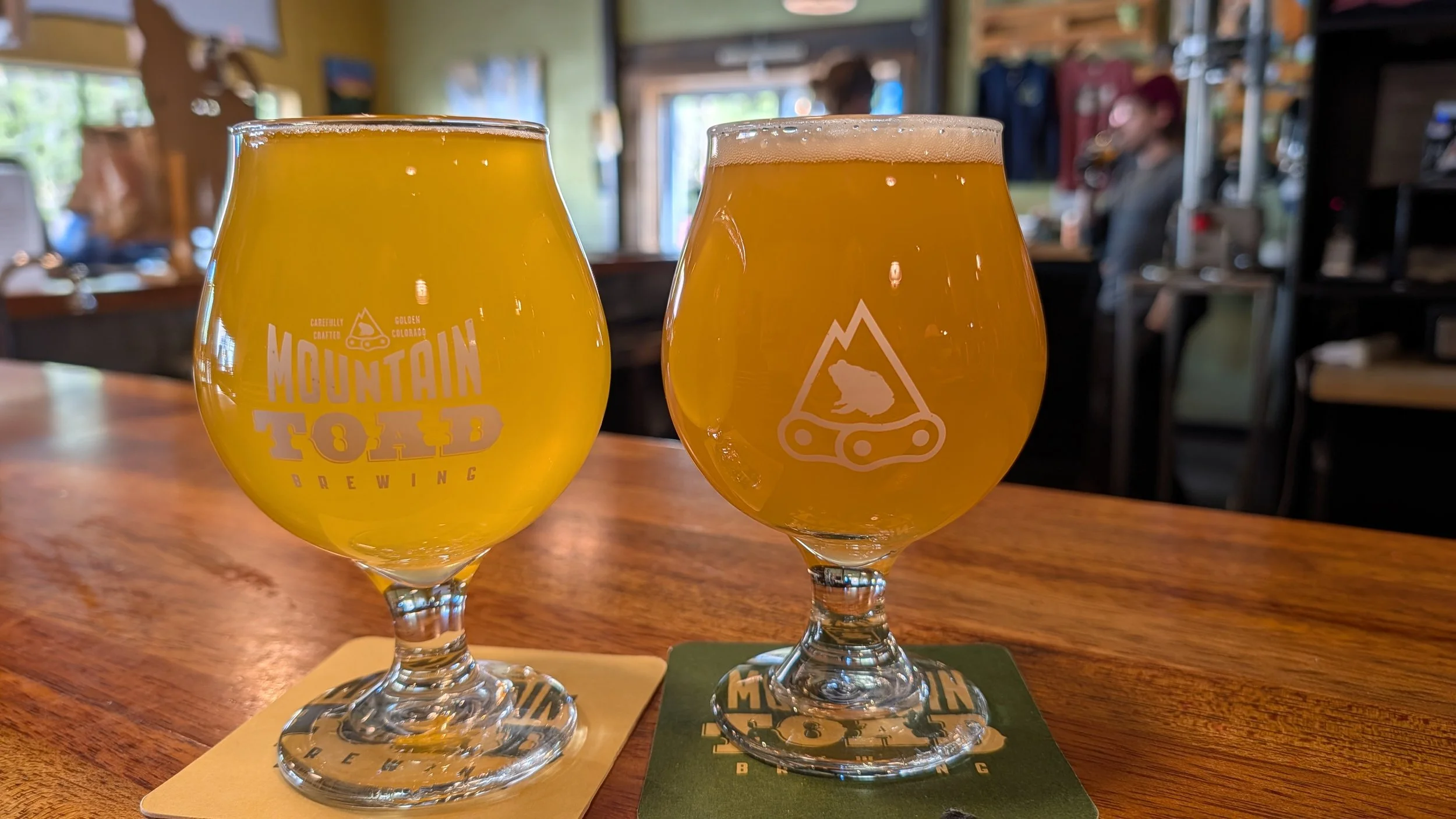 Mountain Toad Brewing in Golden, Colorado