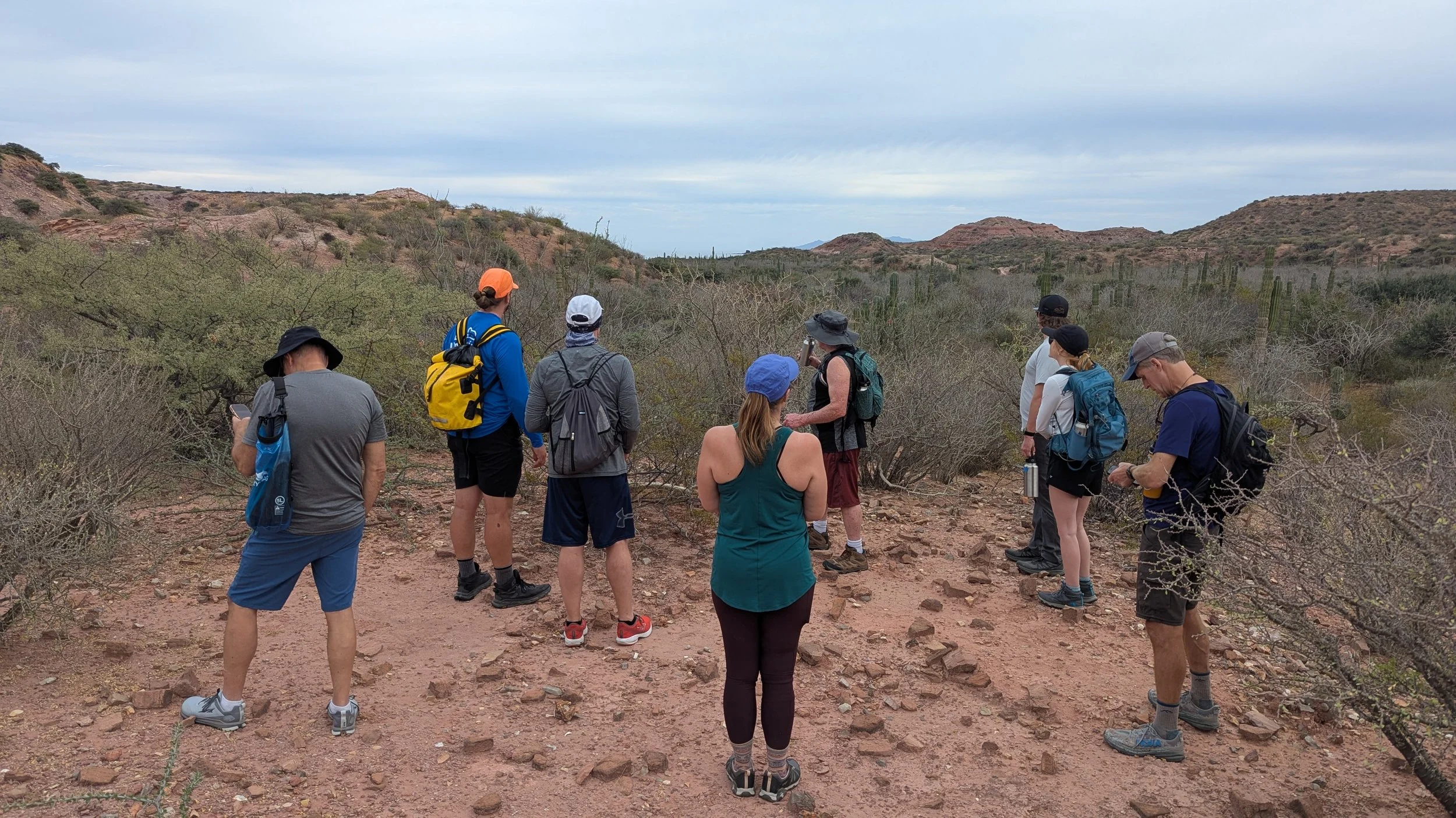 Los Gatos hike with UnCruise in Baja Mexico