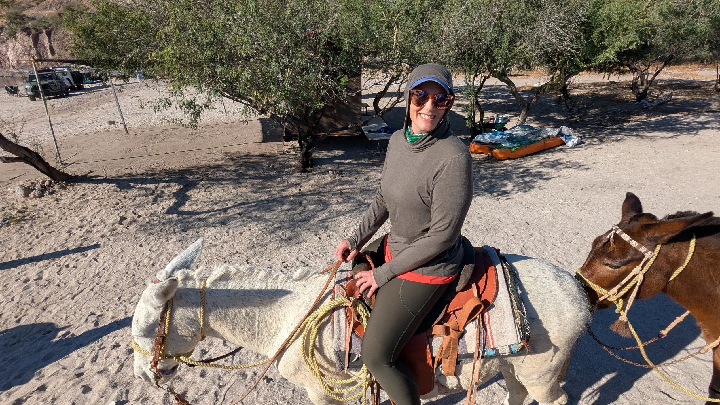 Burro rides in Bahia Agua Verde with UnCruise in Mexico