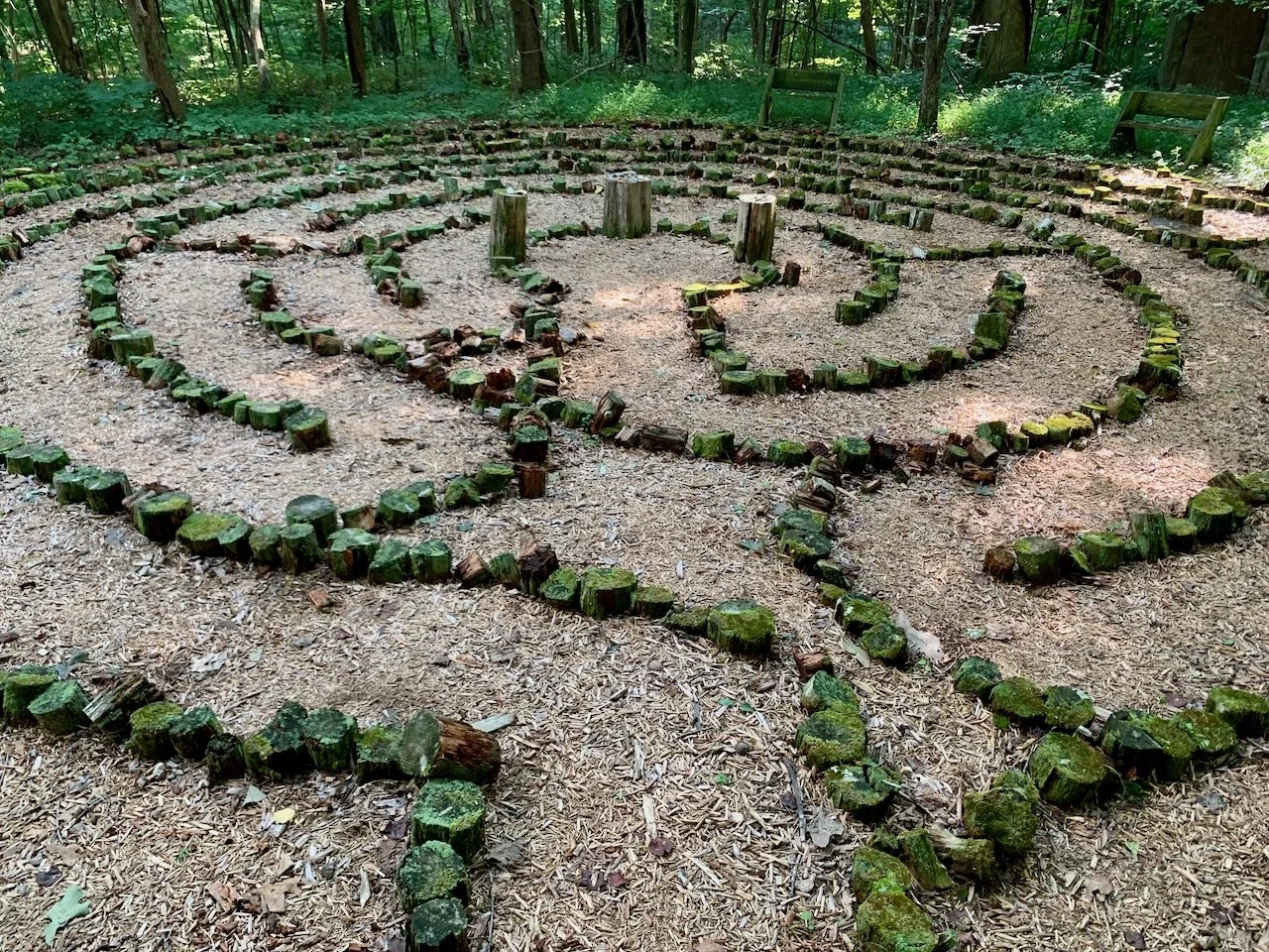 A wooded area with a labyrinth made of cut tree stumps and wood chips on the ground.