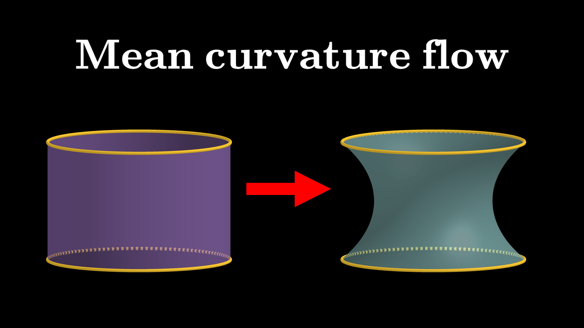 Mean curvature flow video