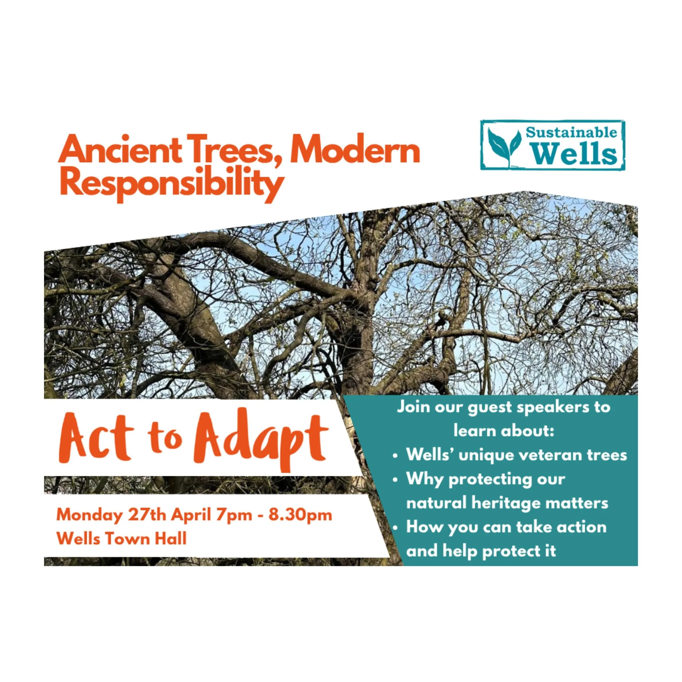 Ancient Trees, Modern Responsibility