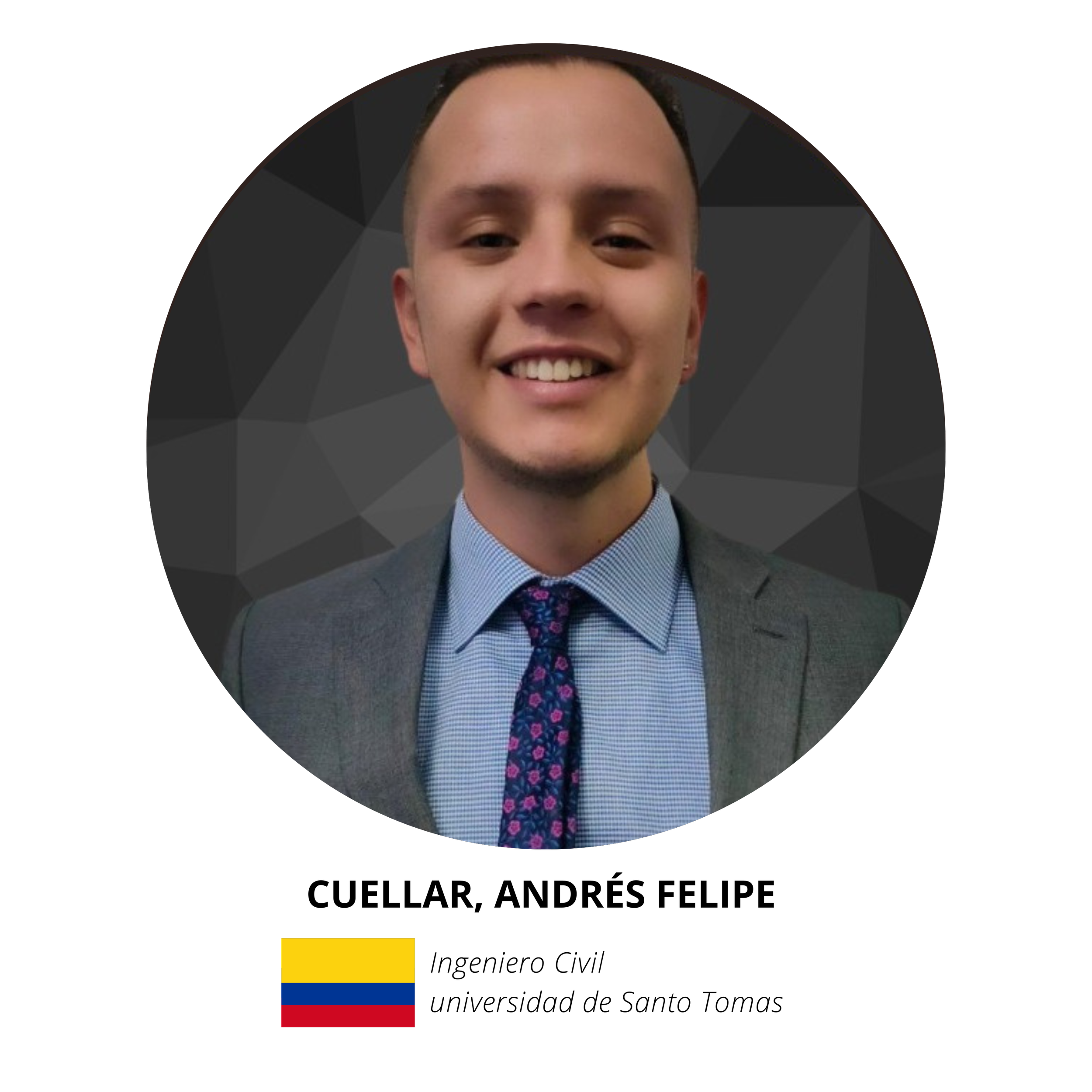 WEBSITE UNINGENIEROENUSA TESTIMONIOS (61).png