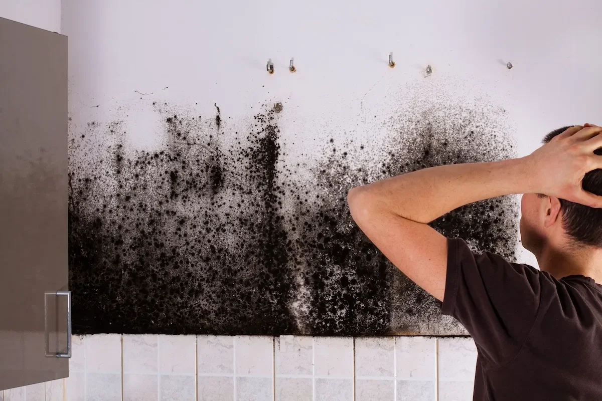 Can You Sell A House With Mold in Michigan?