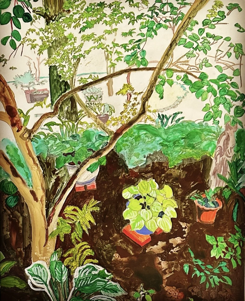 Hostas in the Tranquility Garden 3, 2022
