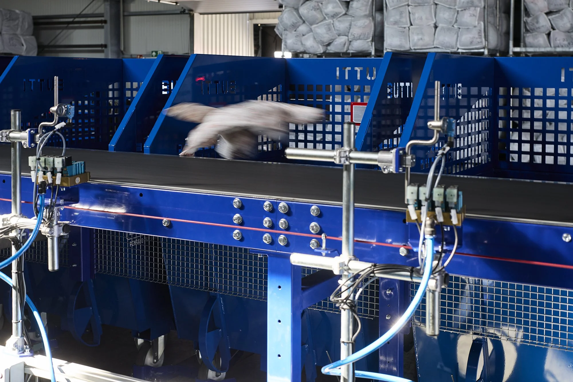 Inside Looper’s Sorting for Recycling Process