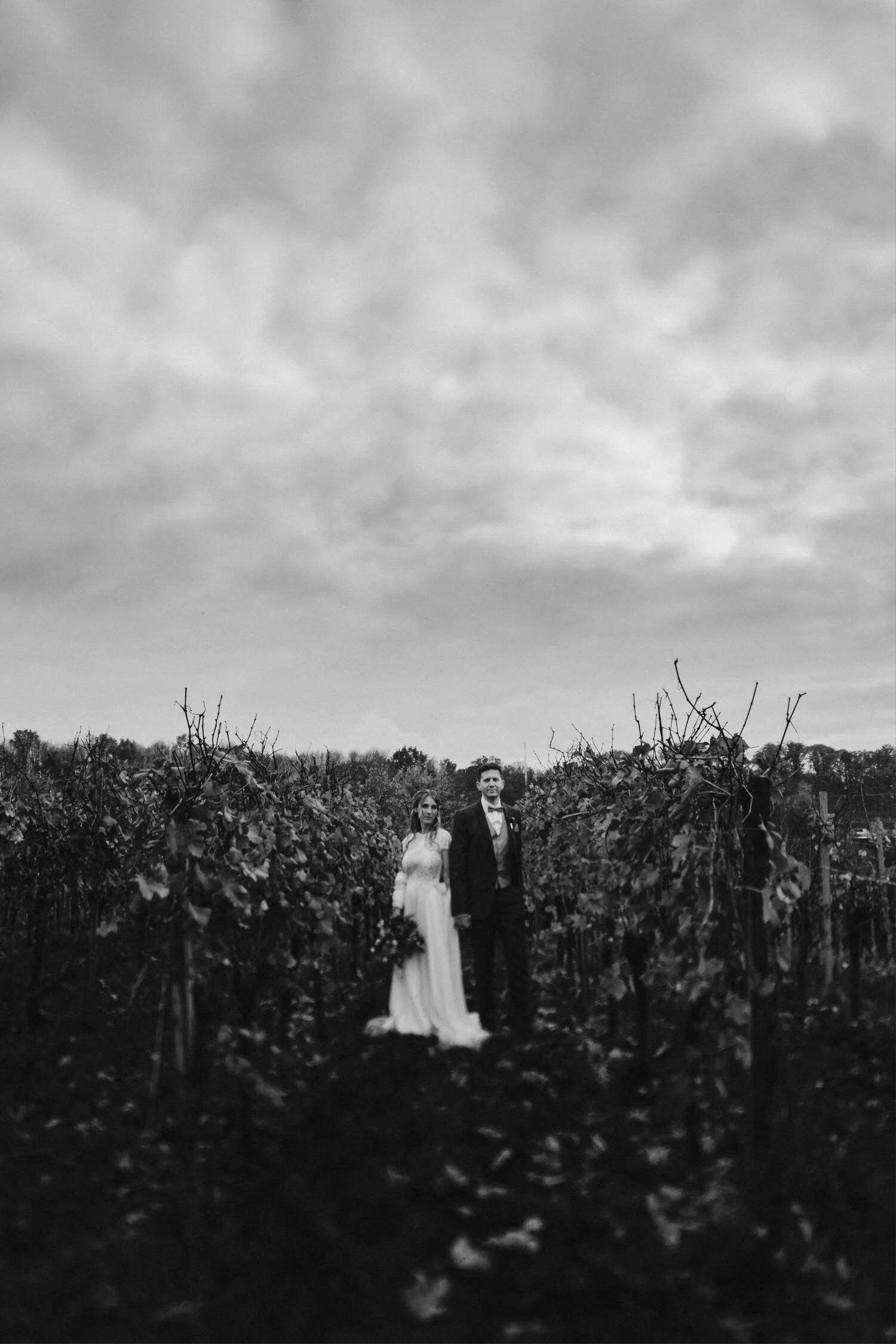 48_20211105_16-18-46_ILCE-9.jpg