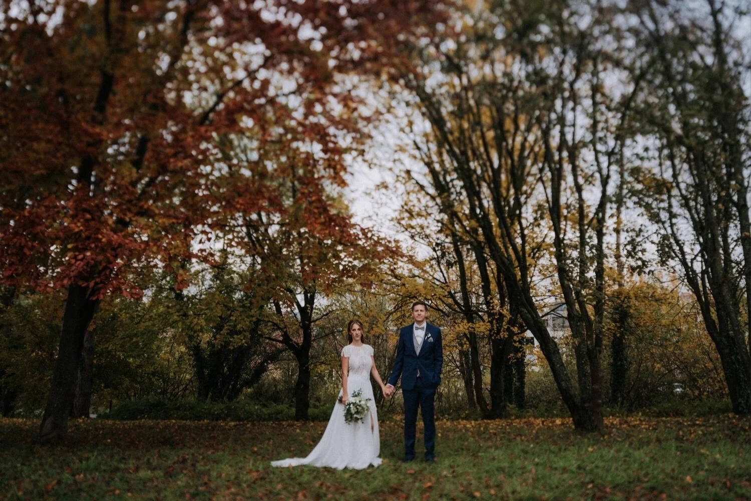 17_20211105_11-50-30_ILCE-9-2.jpg