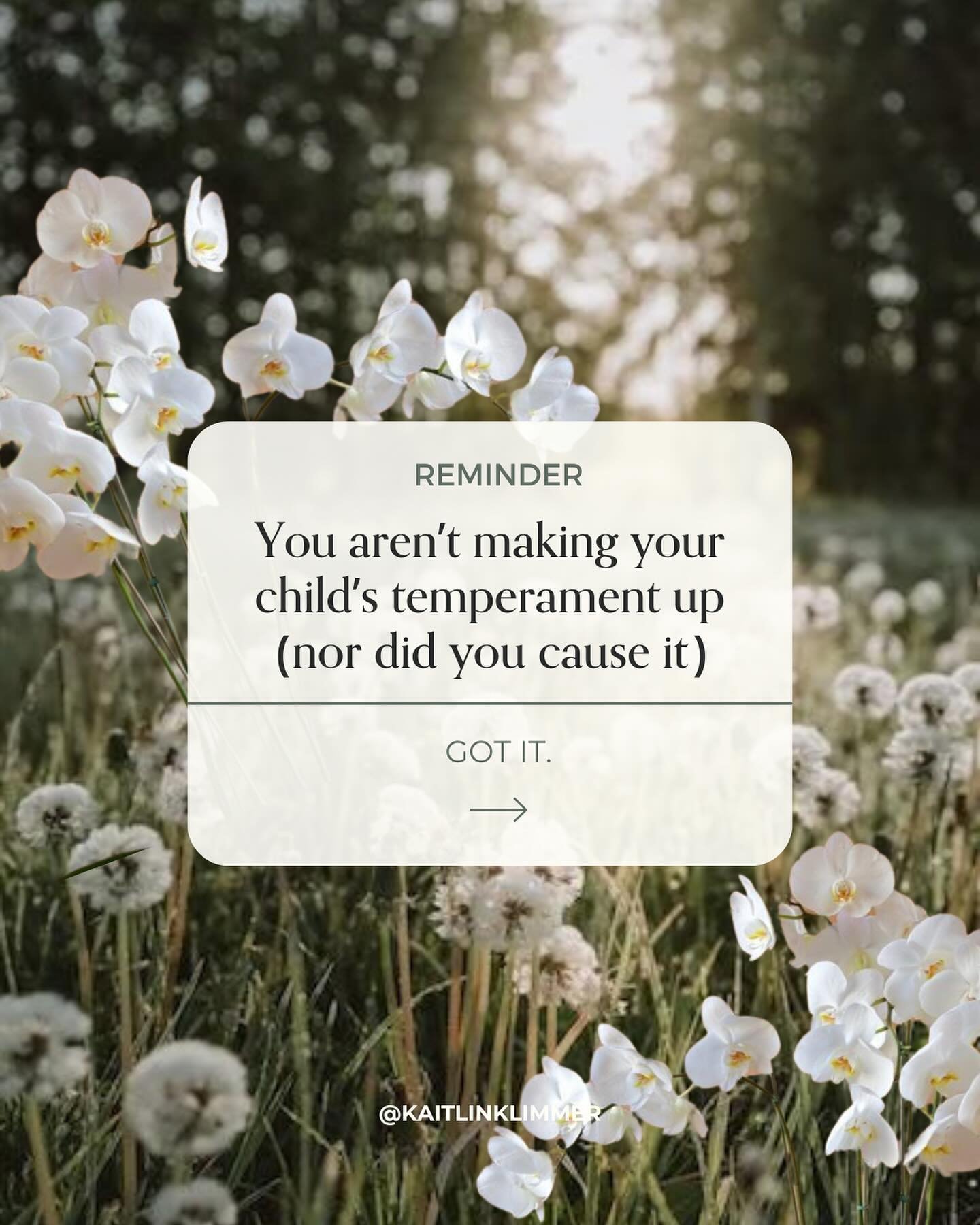 What&rsquo;s this mean for you?

Ignore anyone who says you are imagining - or worse, you caused - your child&rsquo;s sensitivity. You absolutely did not.

Also ignore anyone telling you that you need to double down on your warm, nurturing approach t